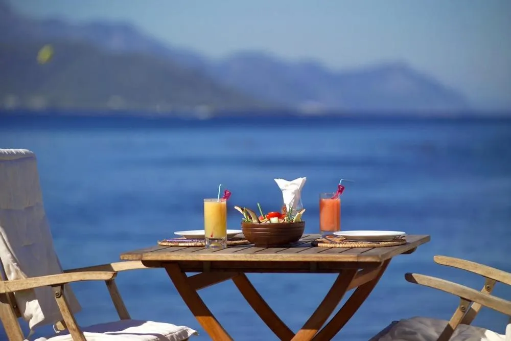 Day in Otel Carpe Diem Gold