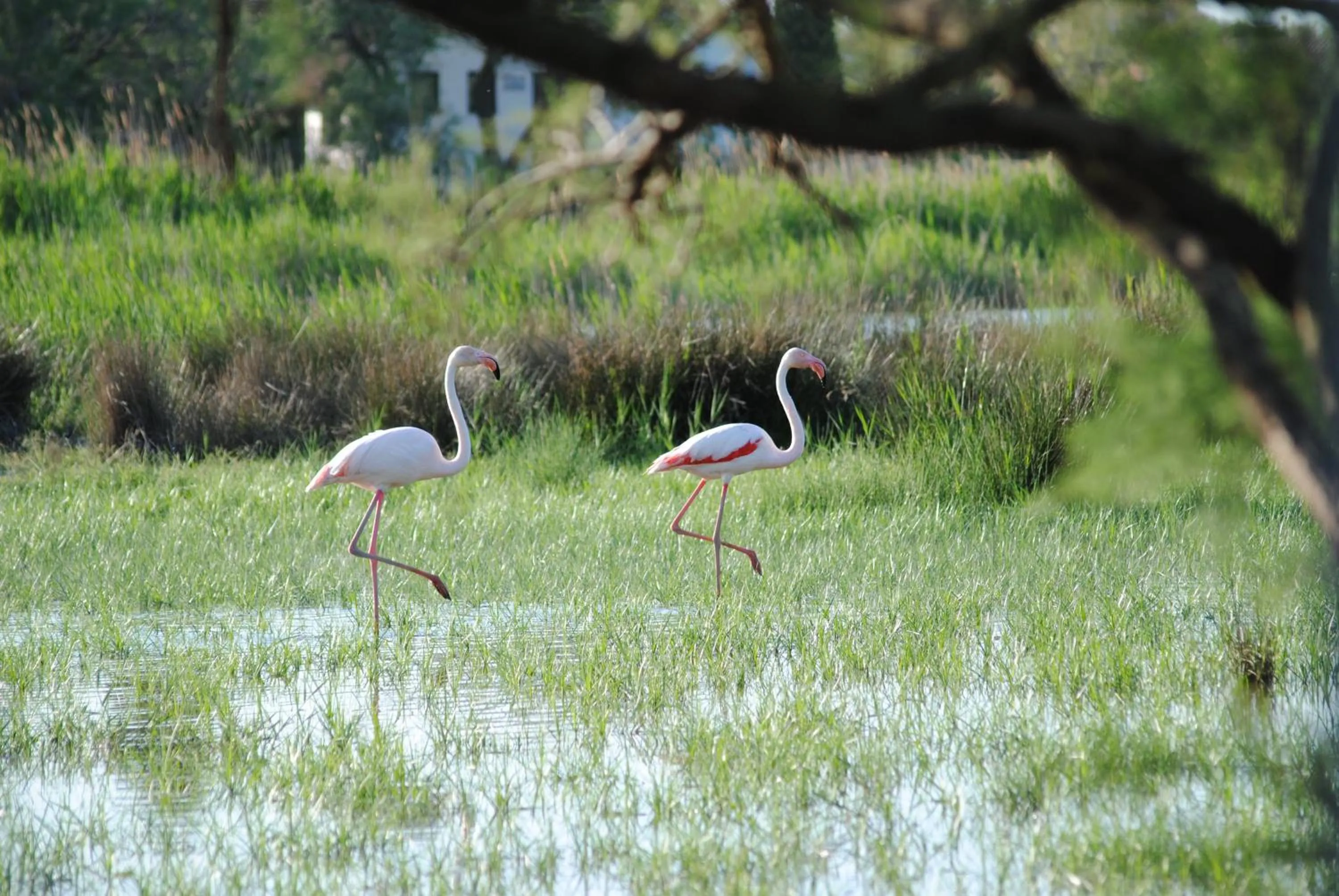 Natural landscape in Hôtel La Palunette