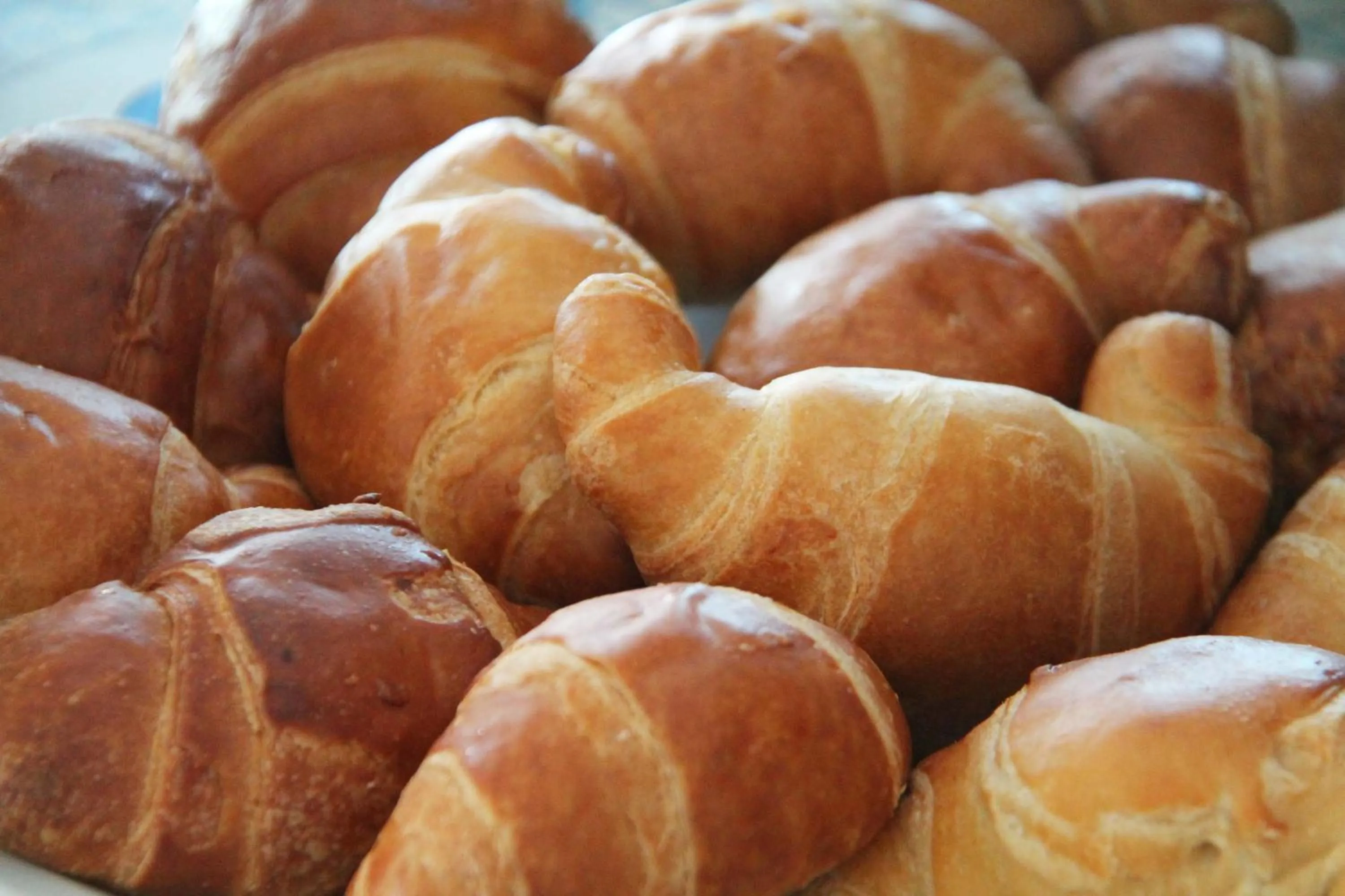 Food and drinks in Hotel San Lorenzo Thermal Spa