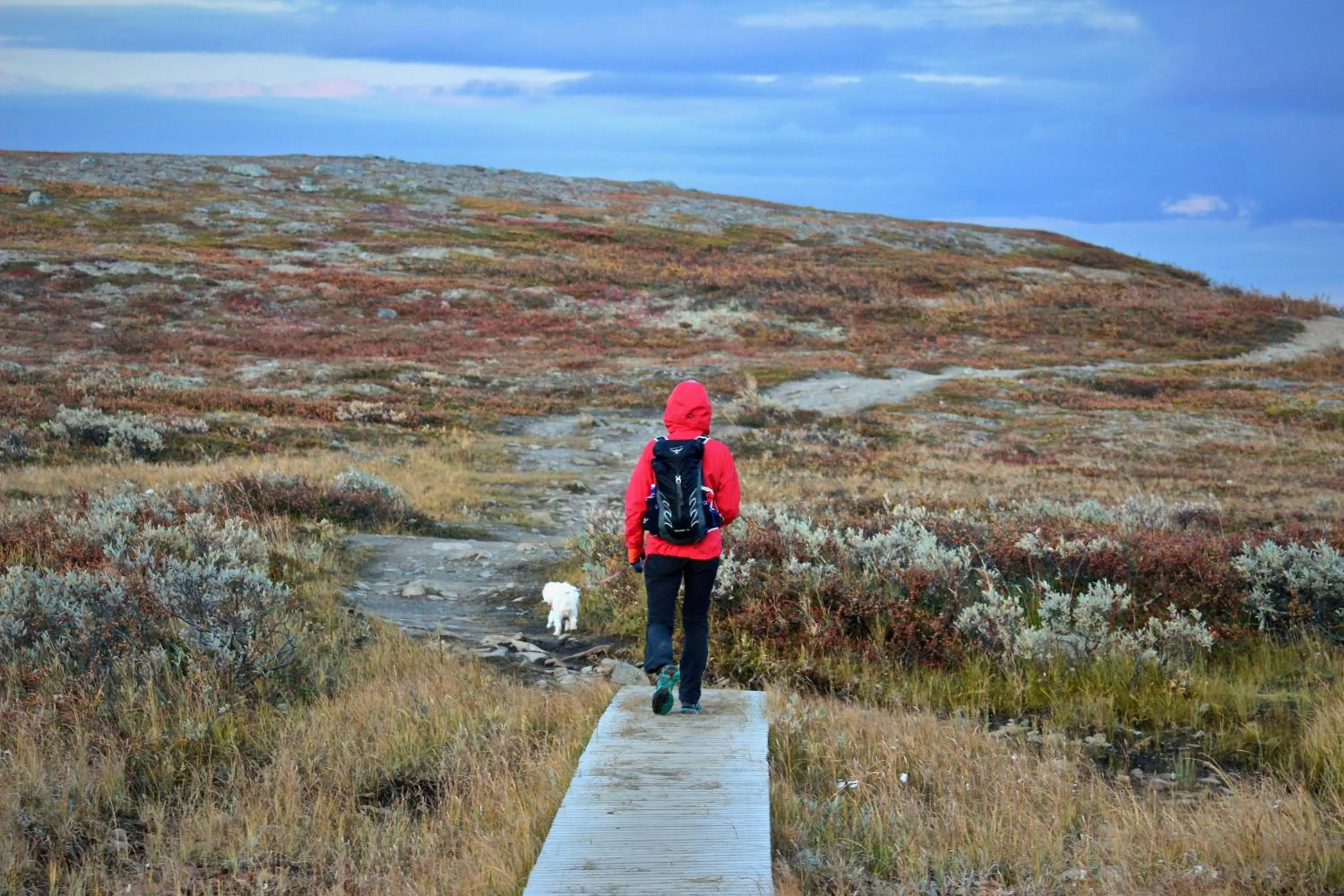 Hiking in Bjørnfjell Mountain Lodge