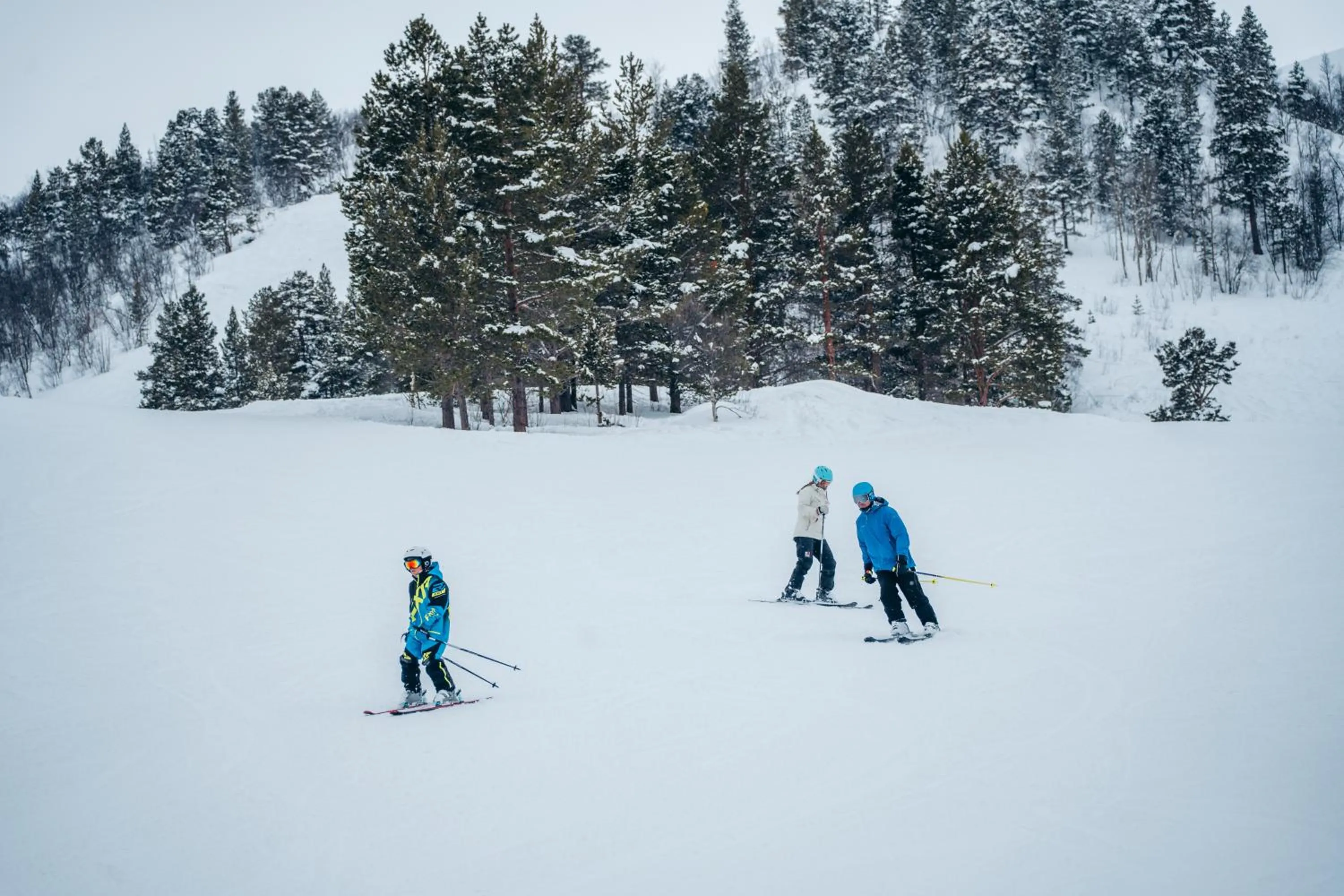 Skiing in Bjørnfjell Mountain Lodge