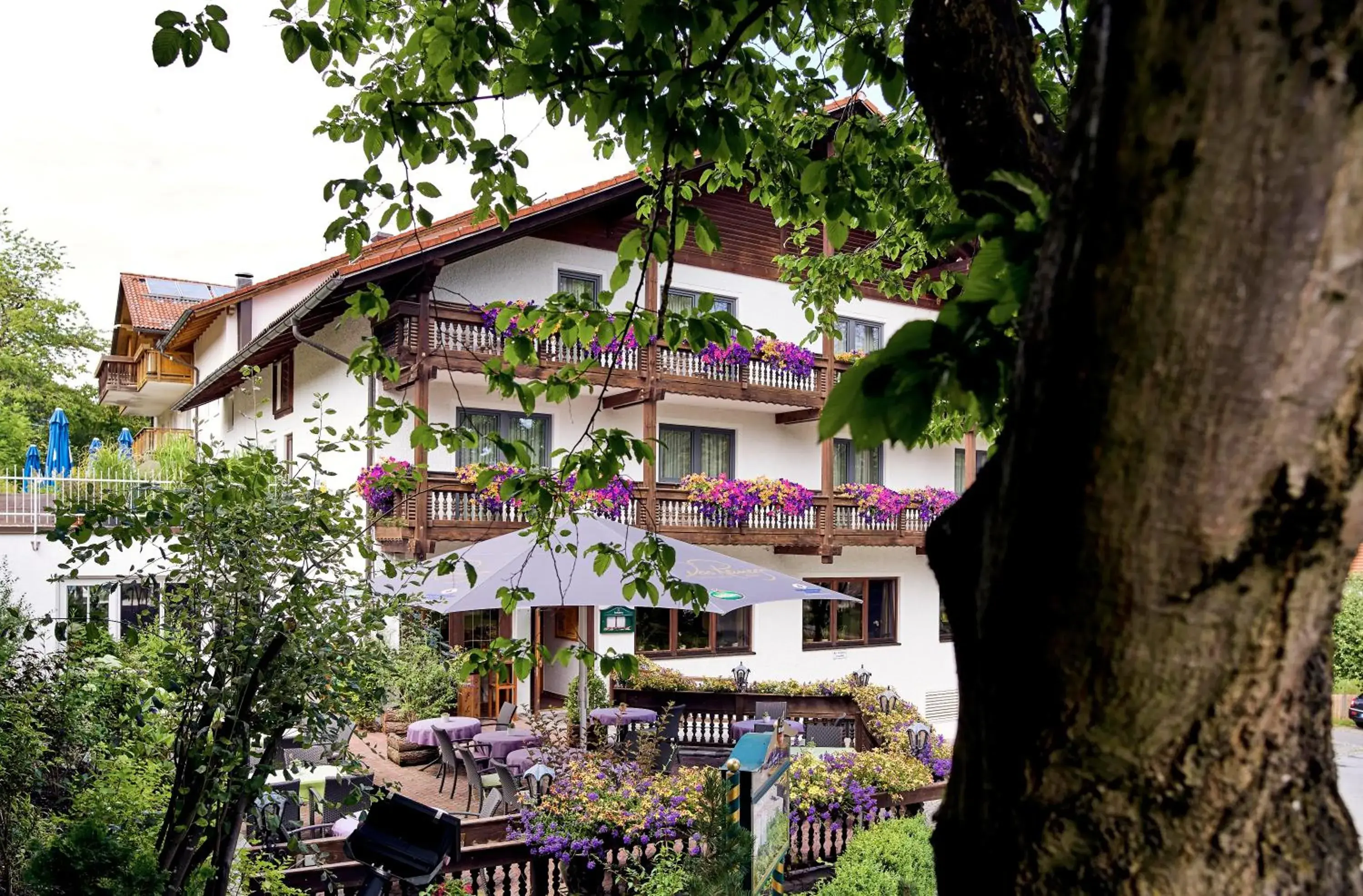 Facade/entrance in Das Reiners Facade/entrance in Das Reiners