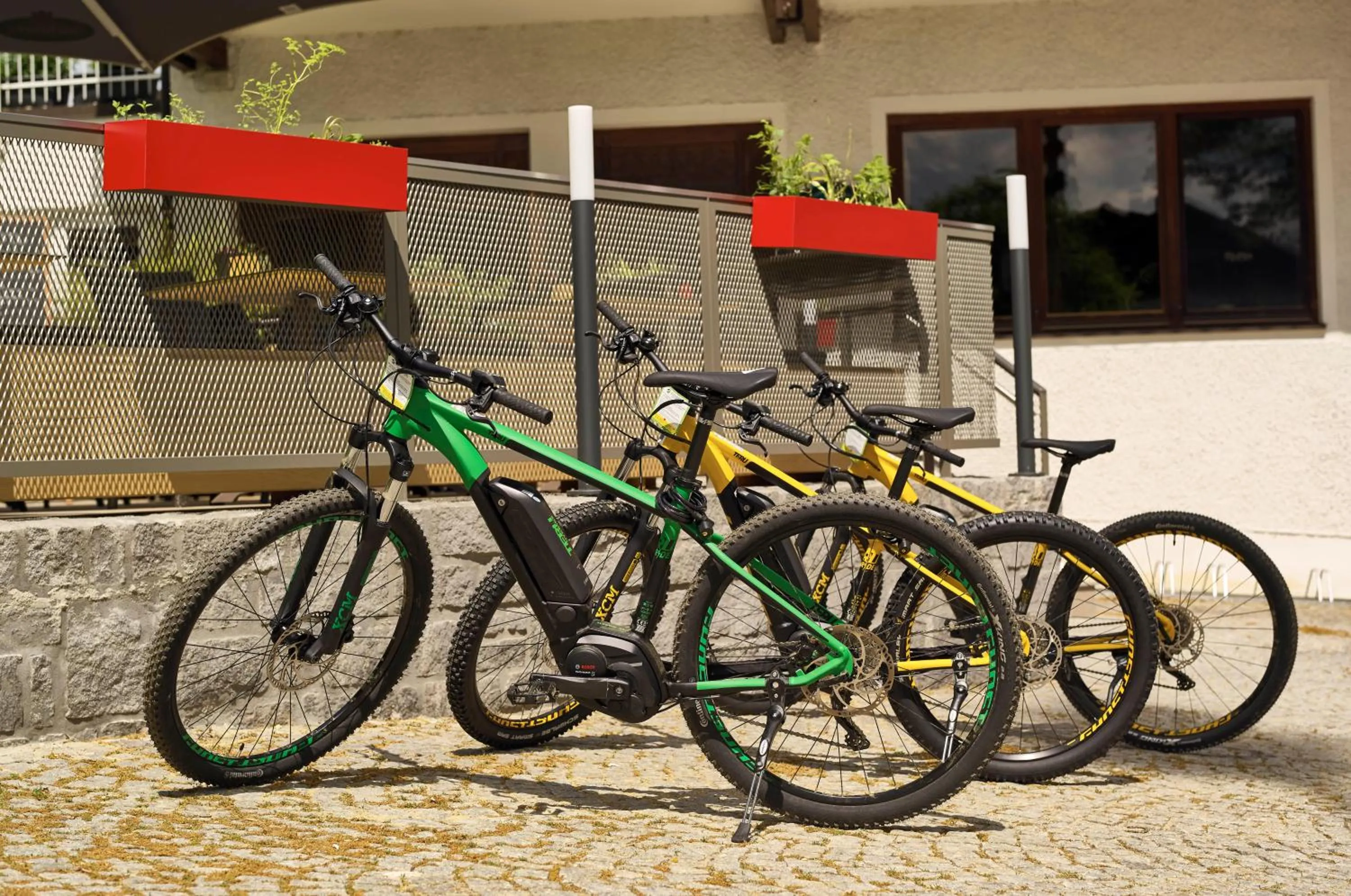 Cycling in Das Reiners