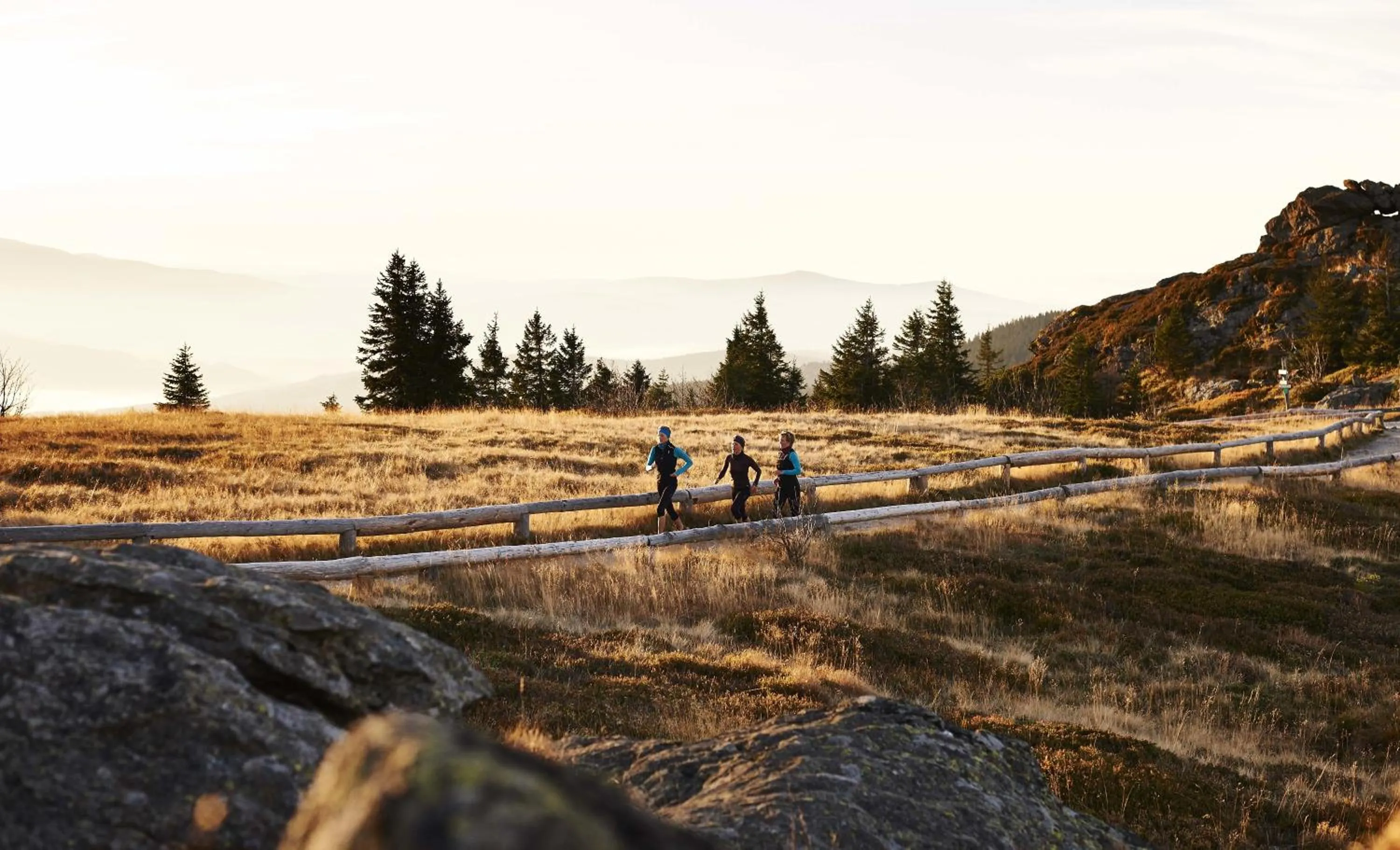 group of guests in Das Reiners