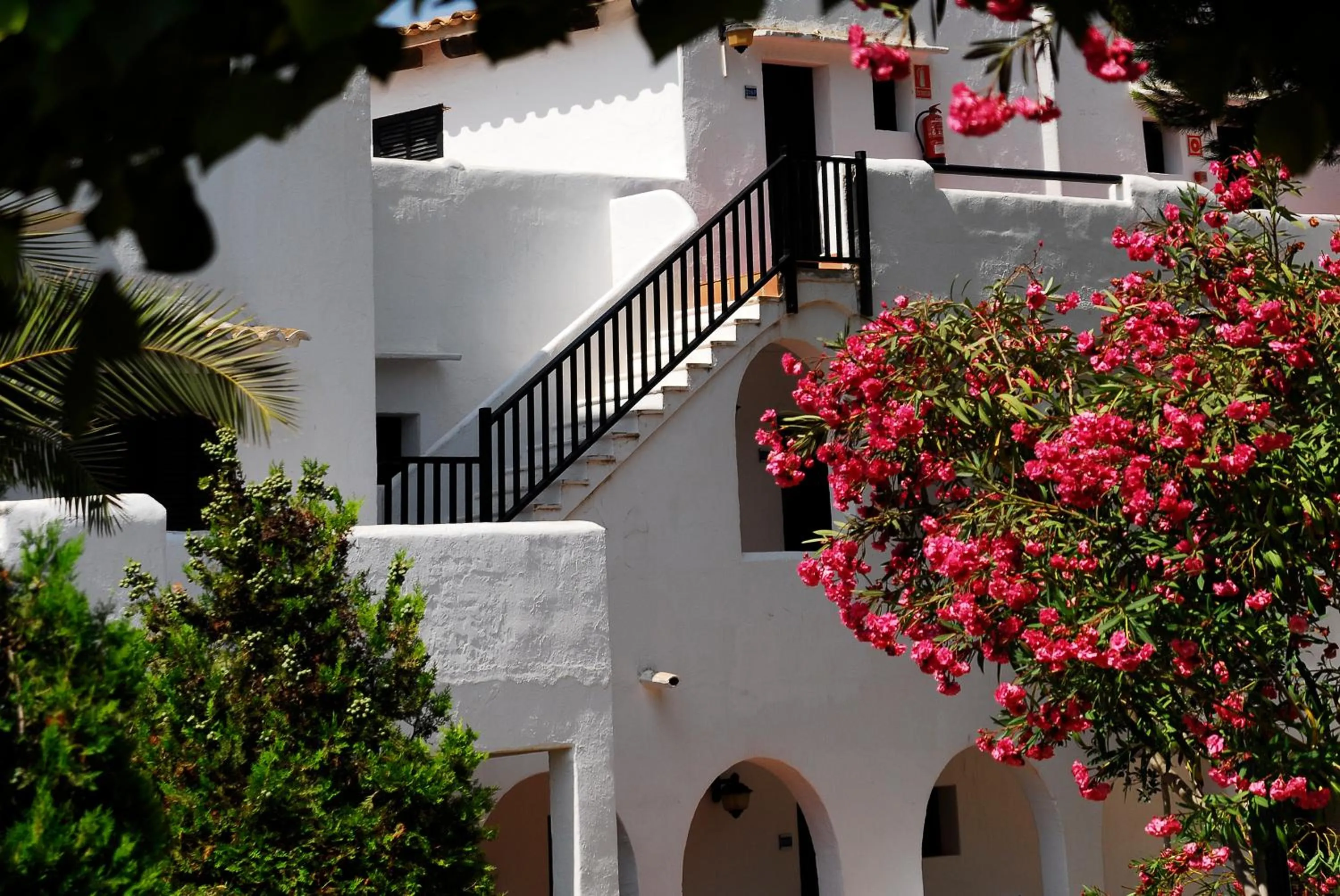 Facade/entrance in Hotel Palia Dolce Farniente 3 Sup