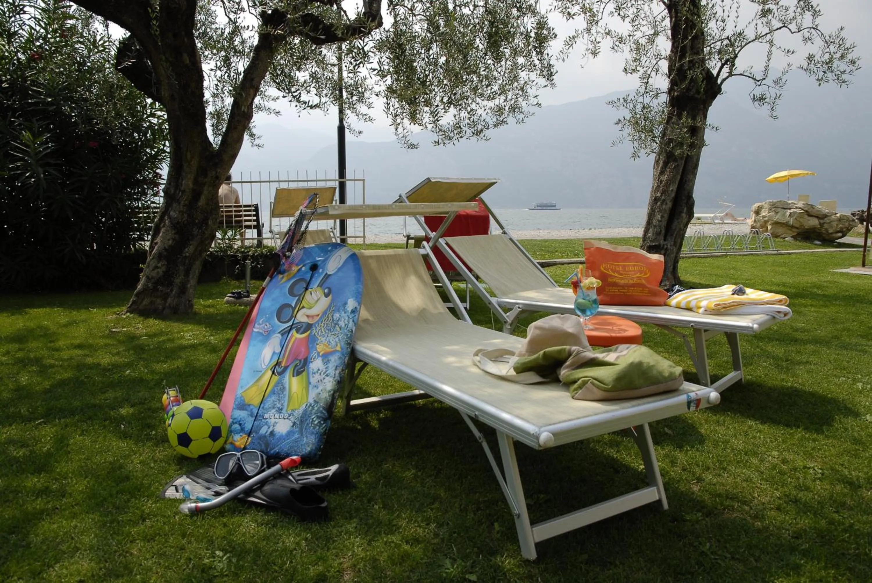 Garden in Hotel Europa