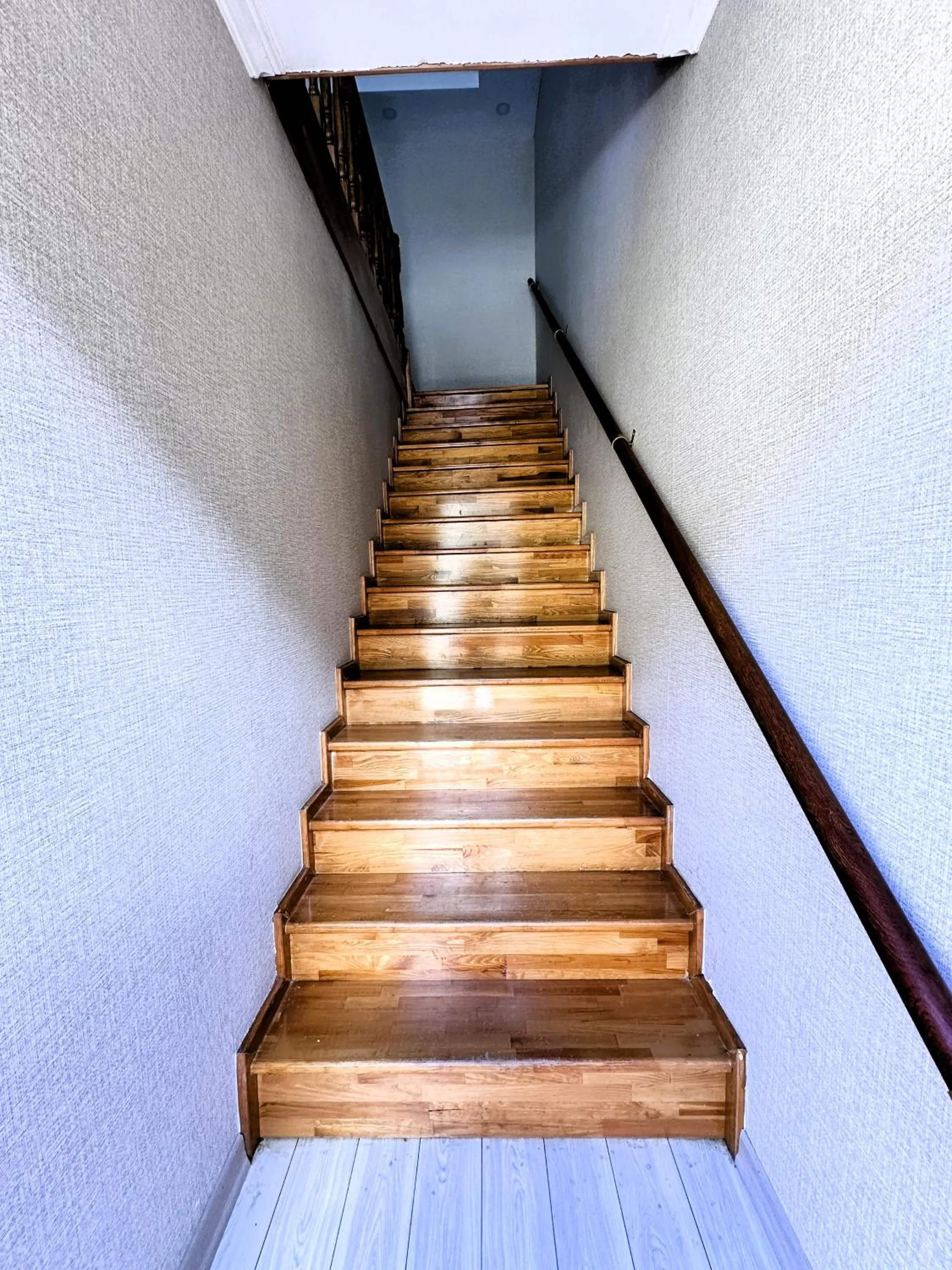 Decorative detail in Green Cinar Apart