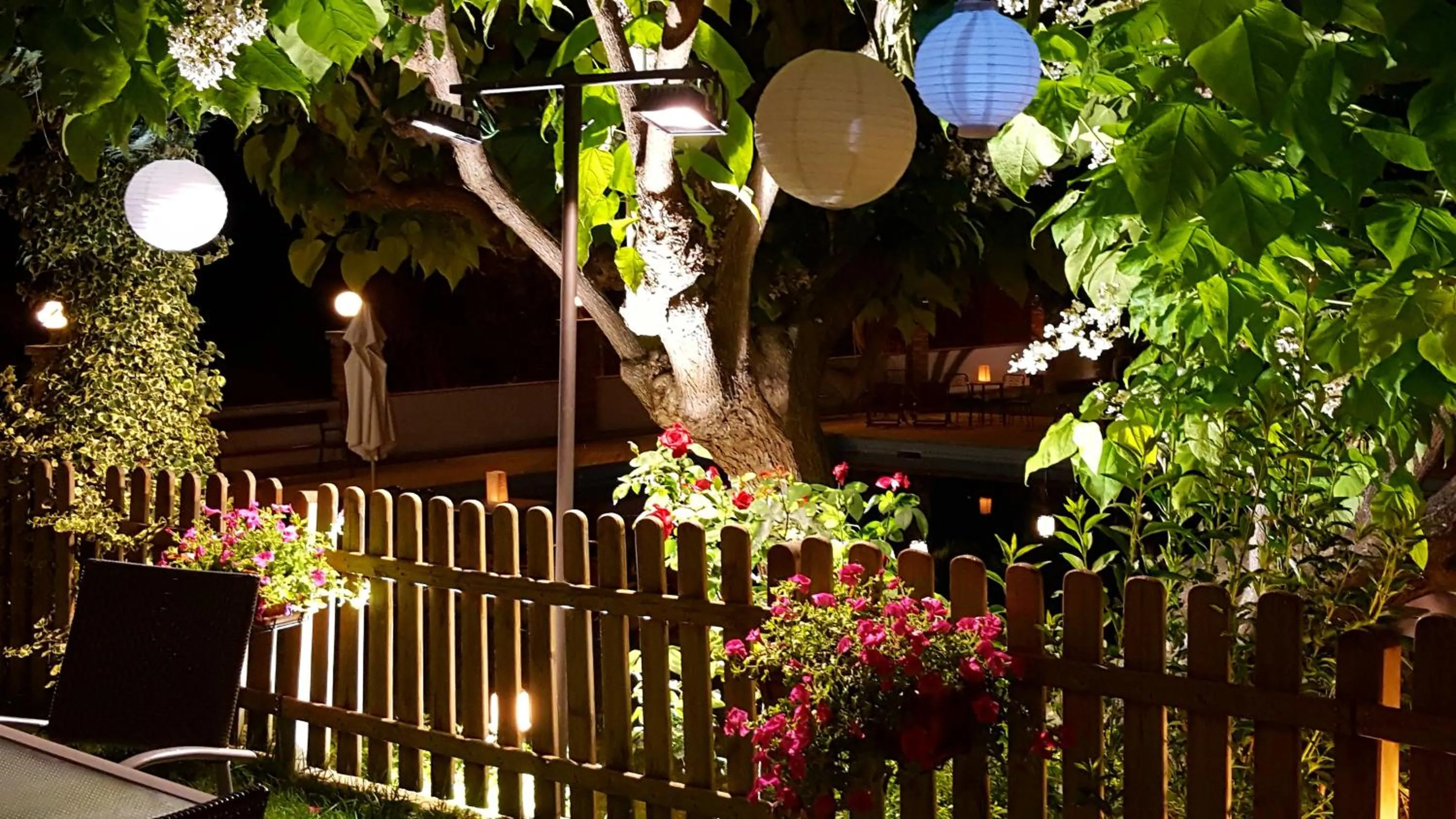 Garden in Hotel Segle XX