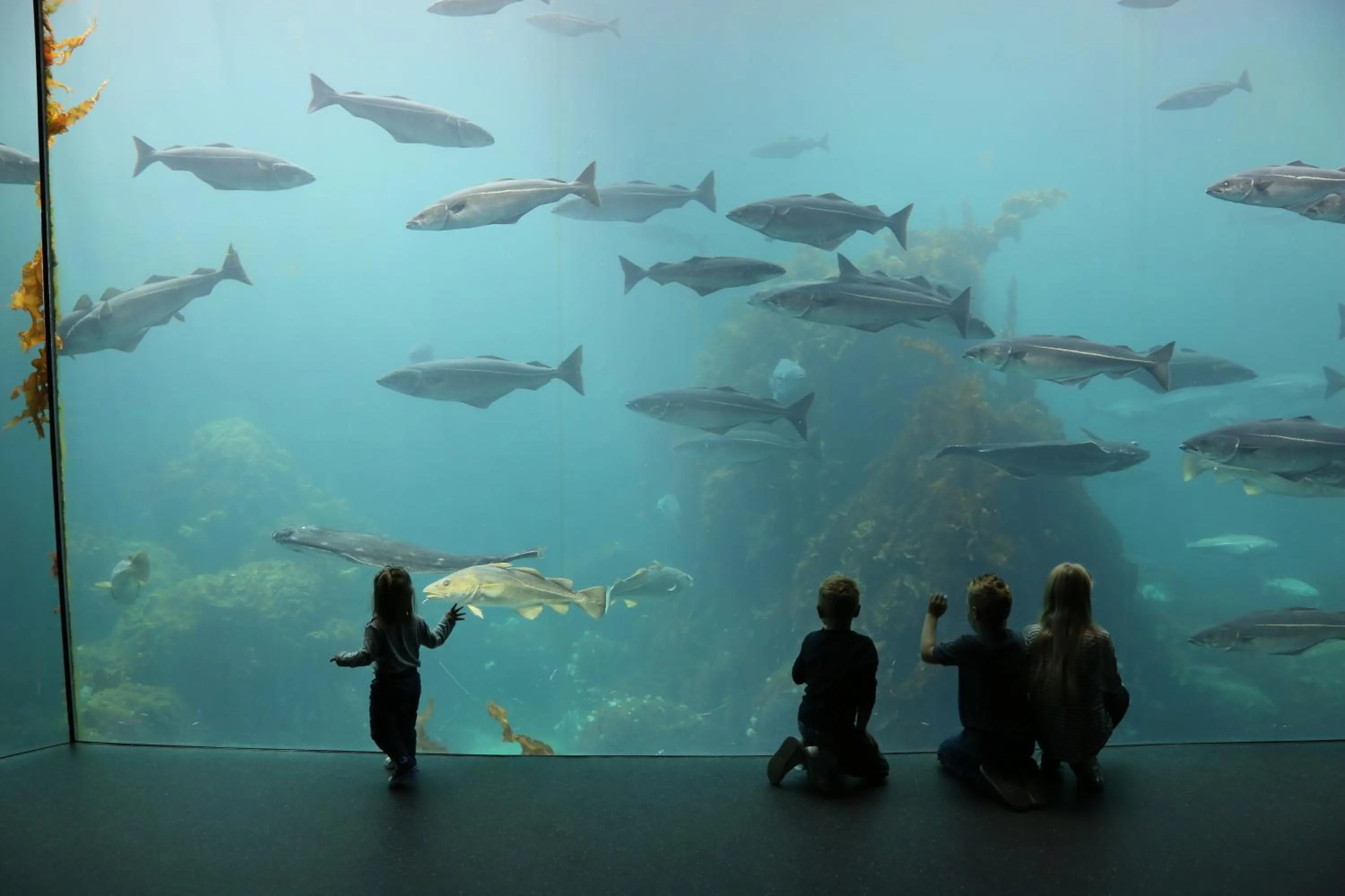 Activities in Hotel Noreg