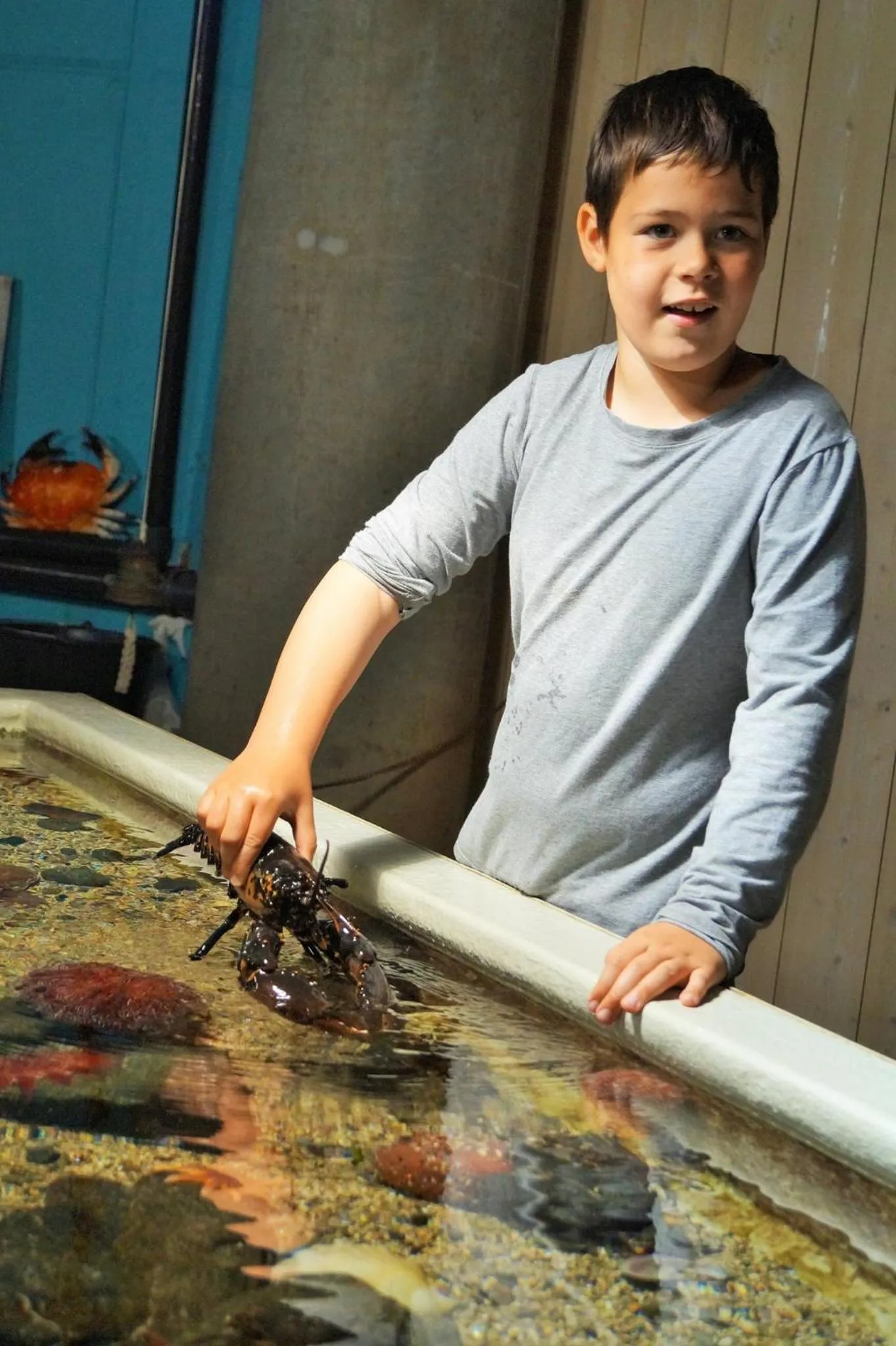 Activities in Hotel Noreg