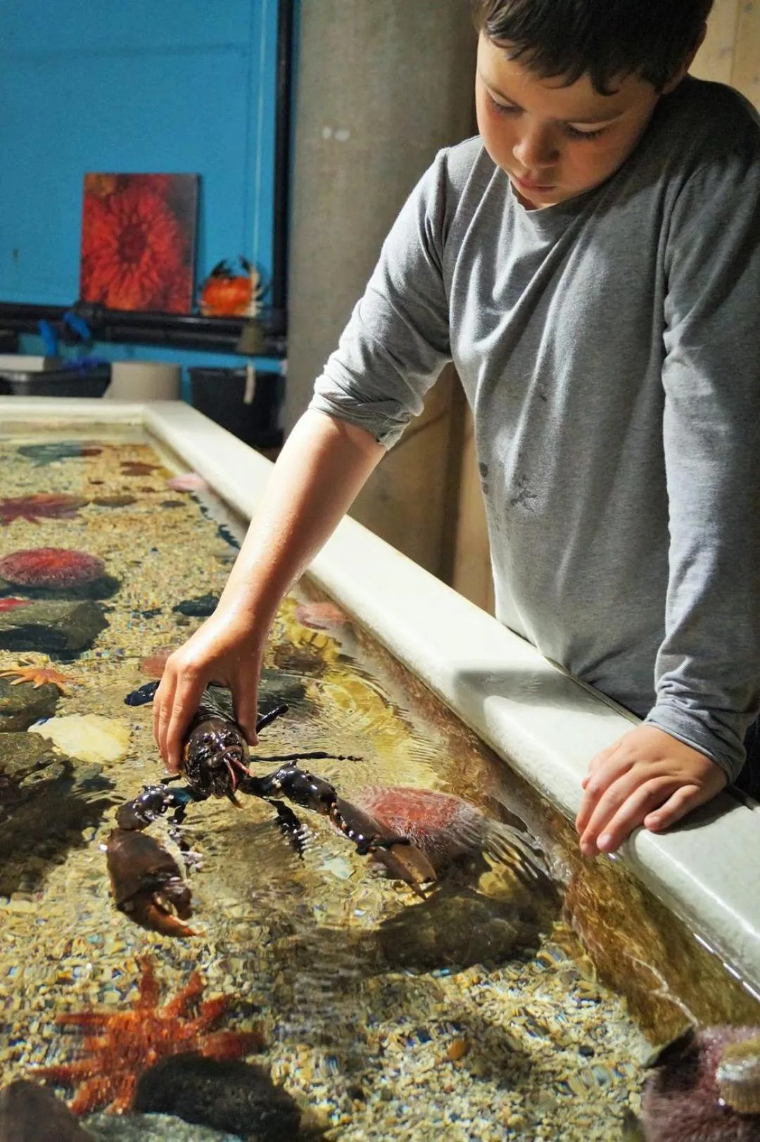 Nearby landmark in Hotel Noreg