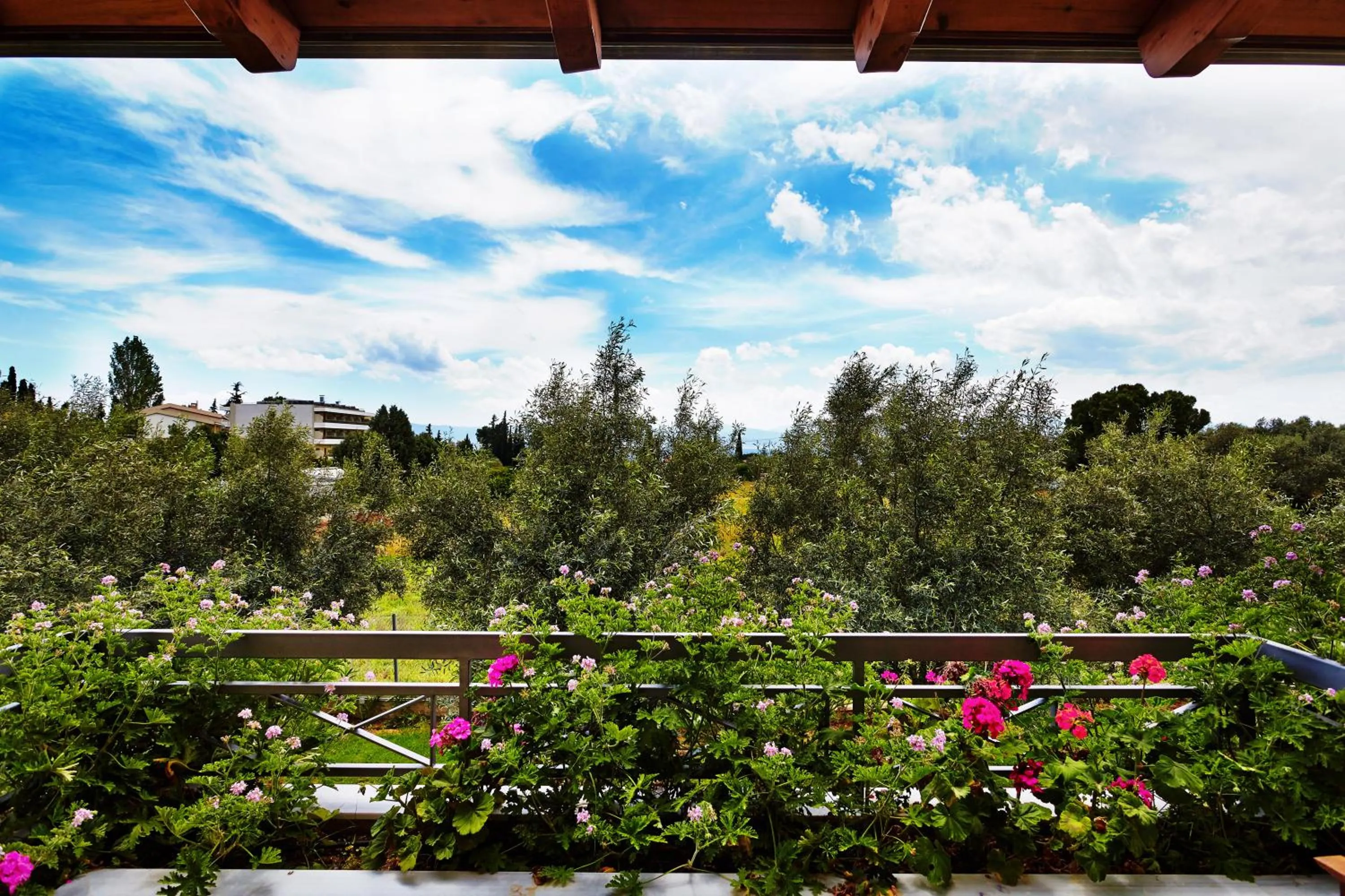 Garden view in Miramare