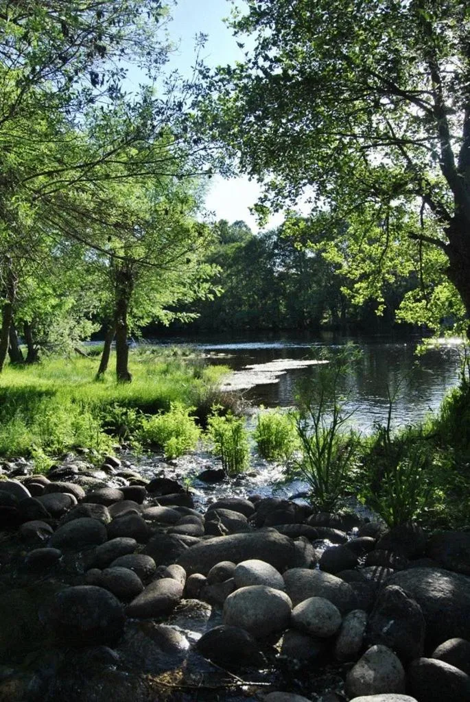 Natural landscape in La Trocha De Hoyorredondo