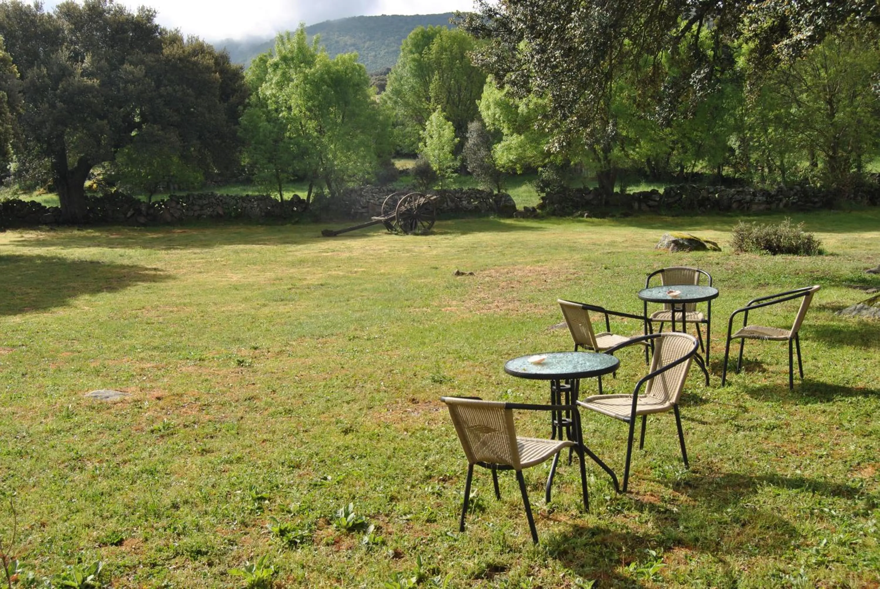 Garden in La Trocha De Hoyorredondo