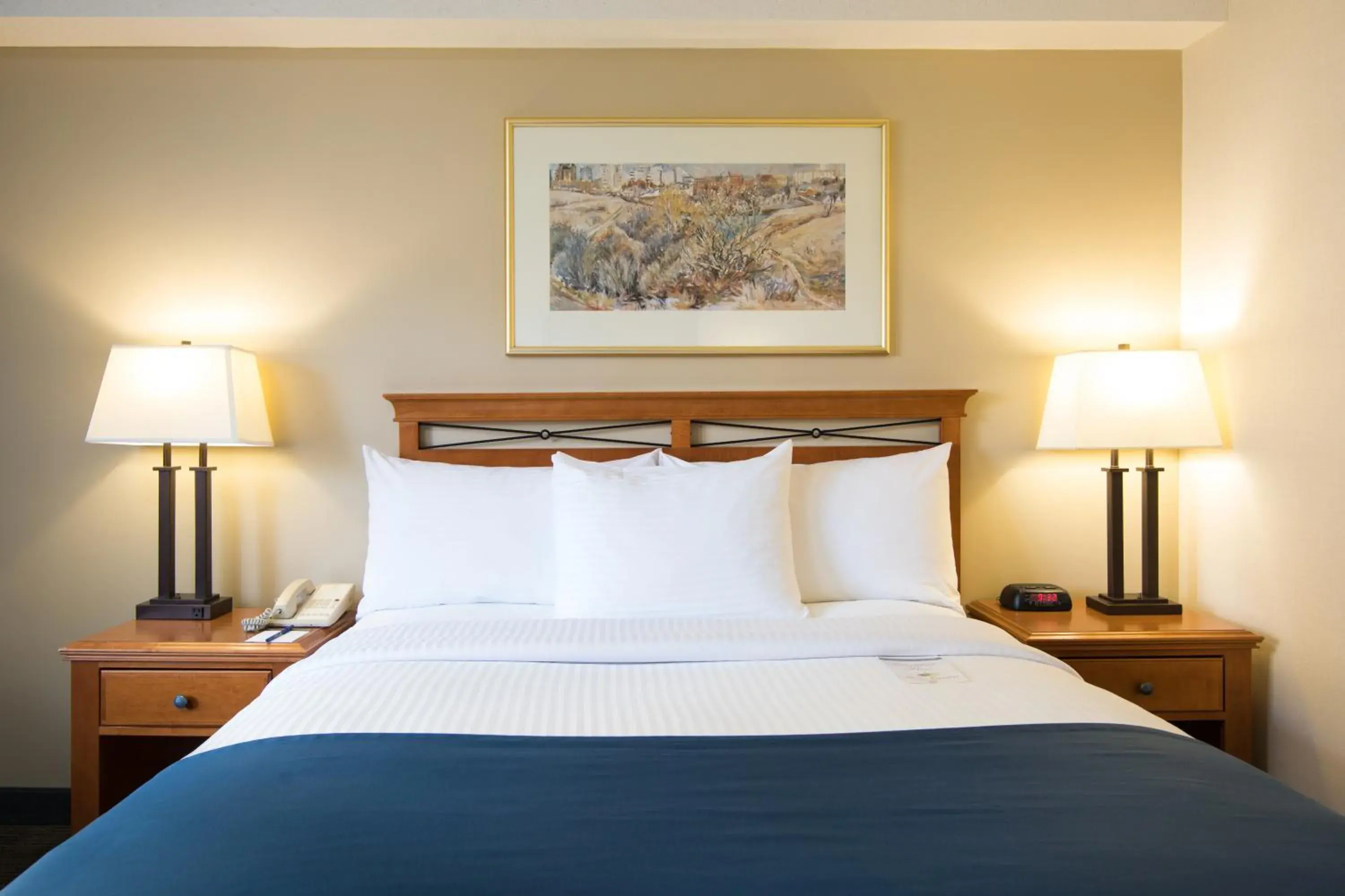 Bed in Park Town Hotel Bed in Park Town Hotel