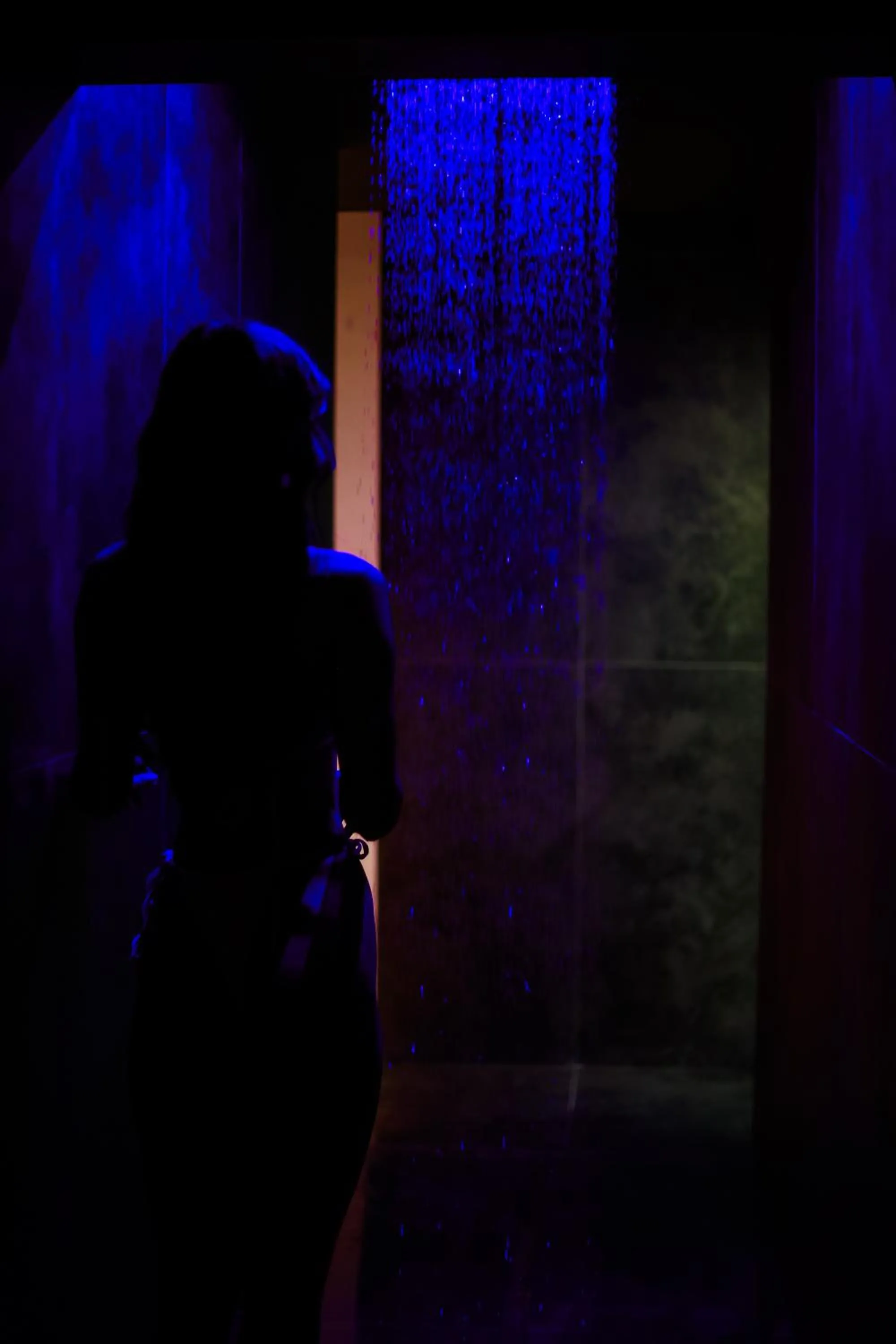 Spa and wellness centre/facilities in Grand Hotel Coroana