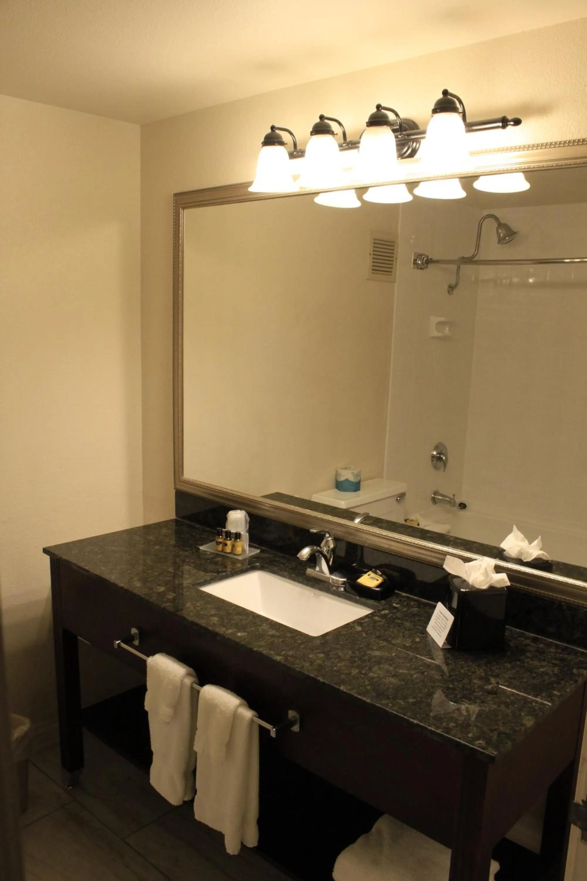 Bathroom in Seville Plaza Hotel, Trademark Collection by Wyndham