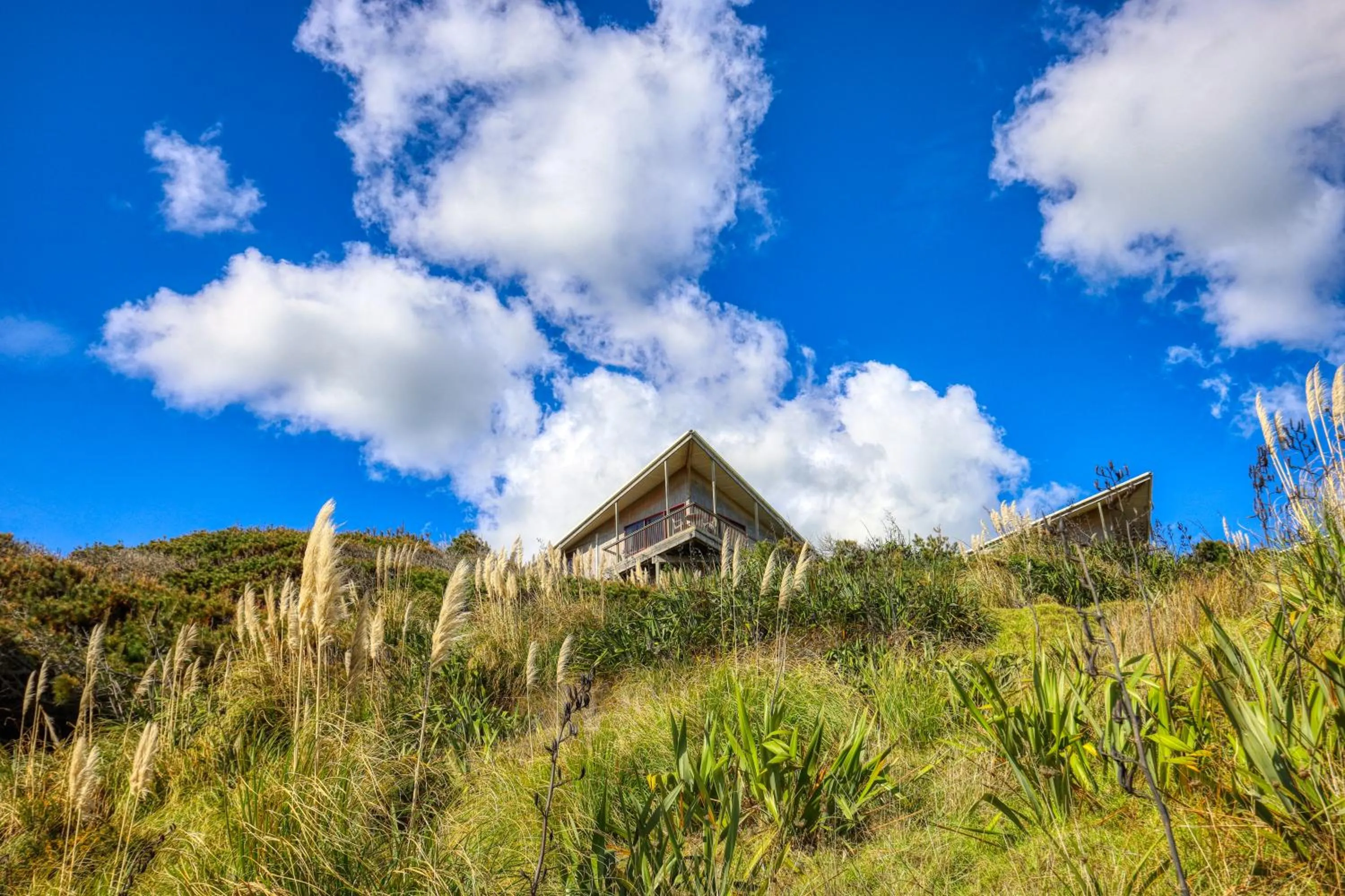 View (from property/room) in Castaways Resort