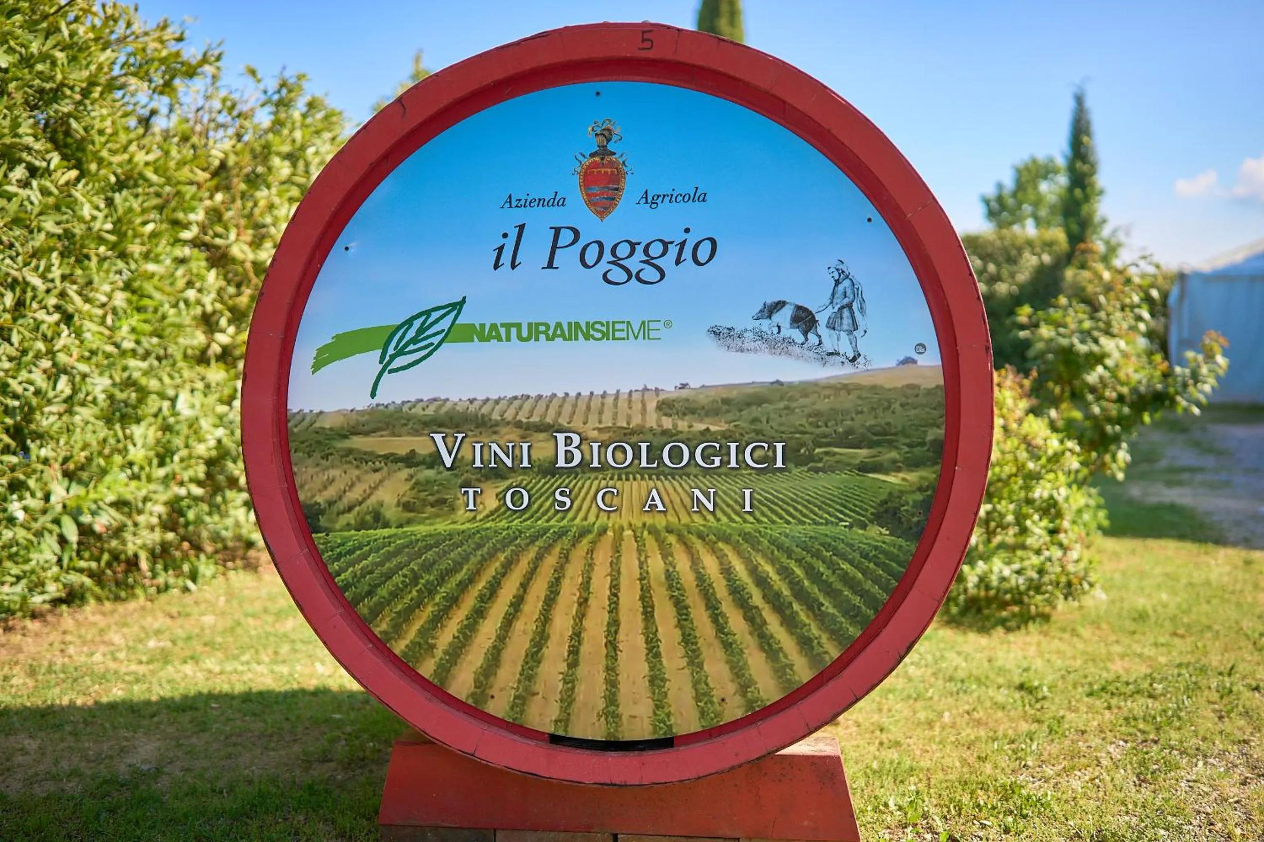 Il Poggio