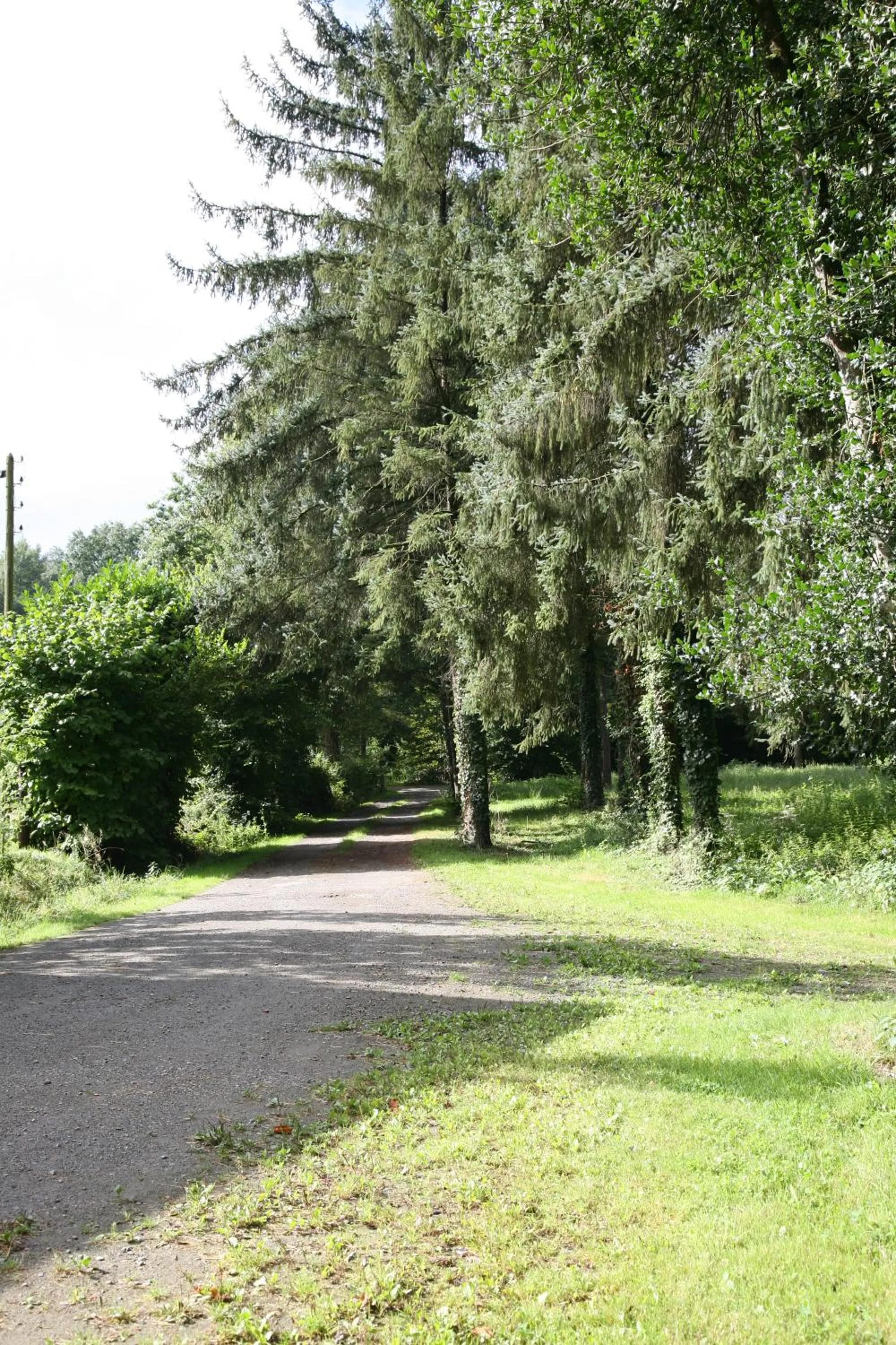 Activities in Domaine de Chantemerle