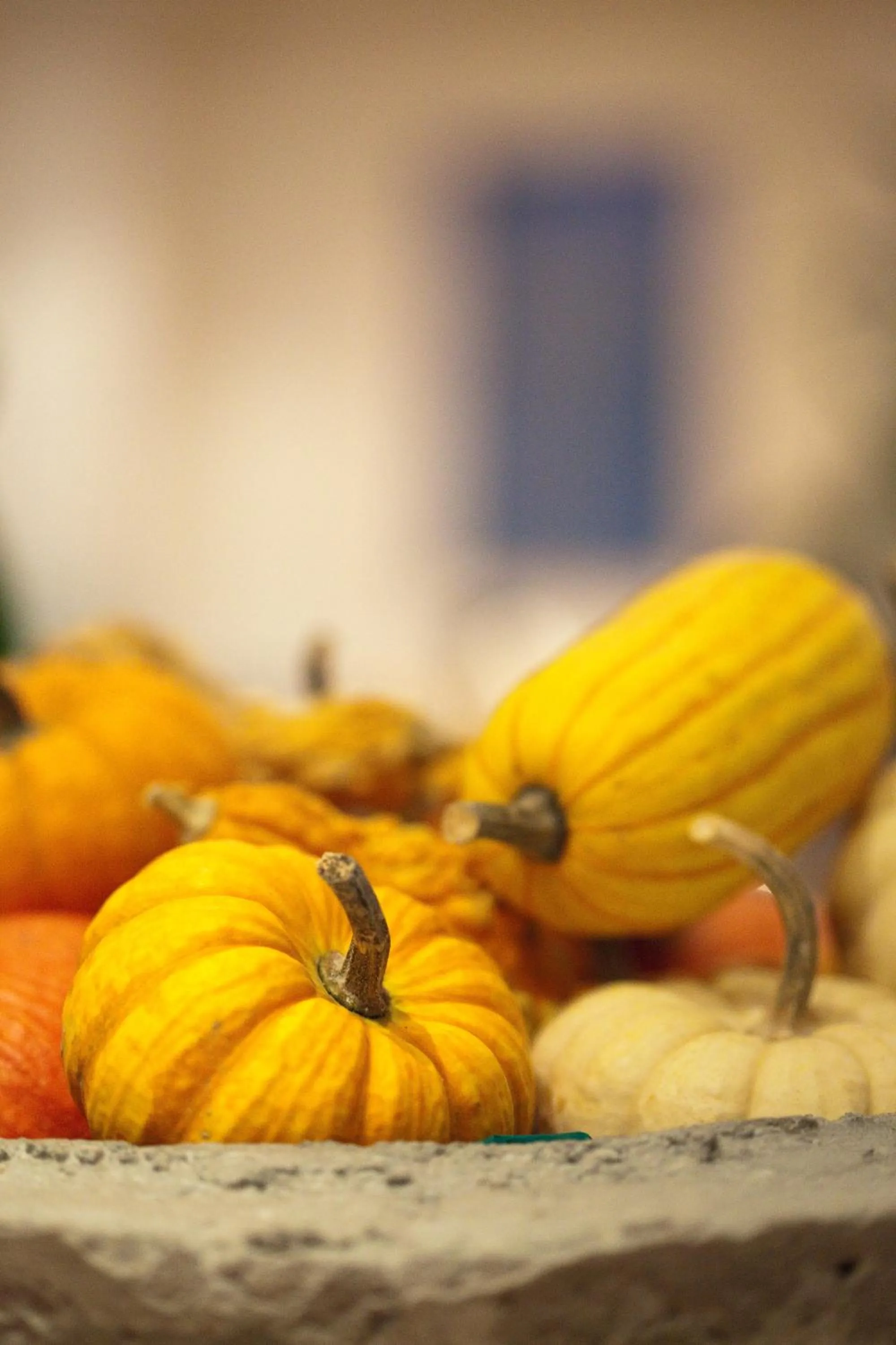 Food and drinks in Seehotel Bönigen