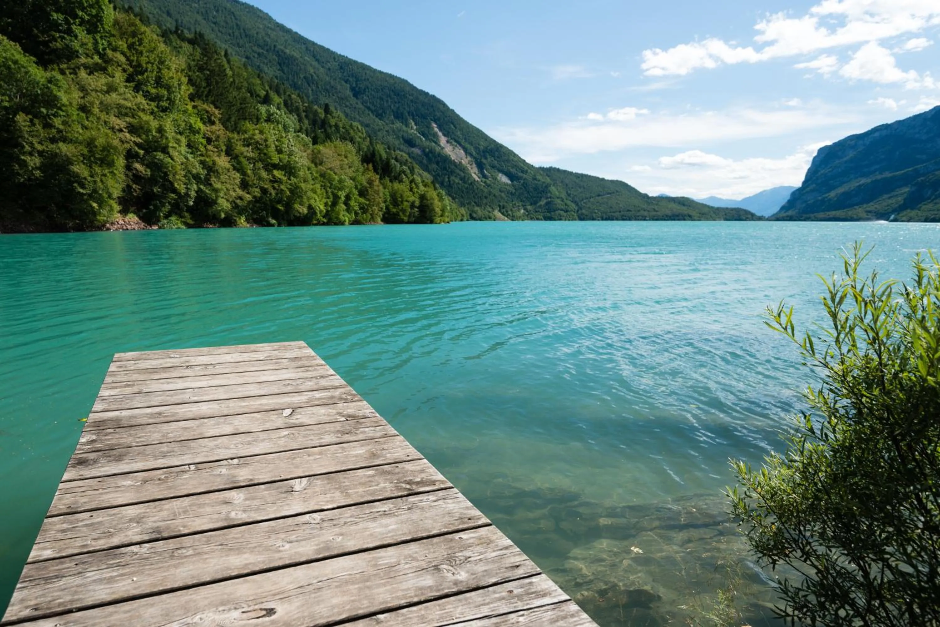 Garden in Grand Hotel Molveno