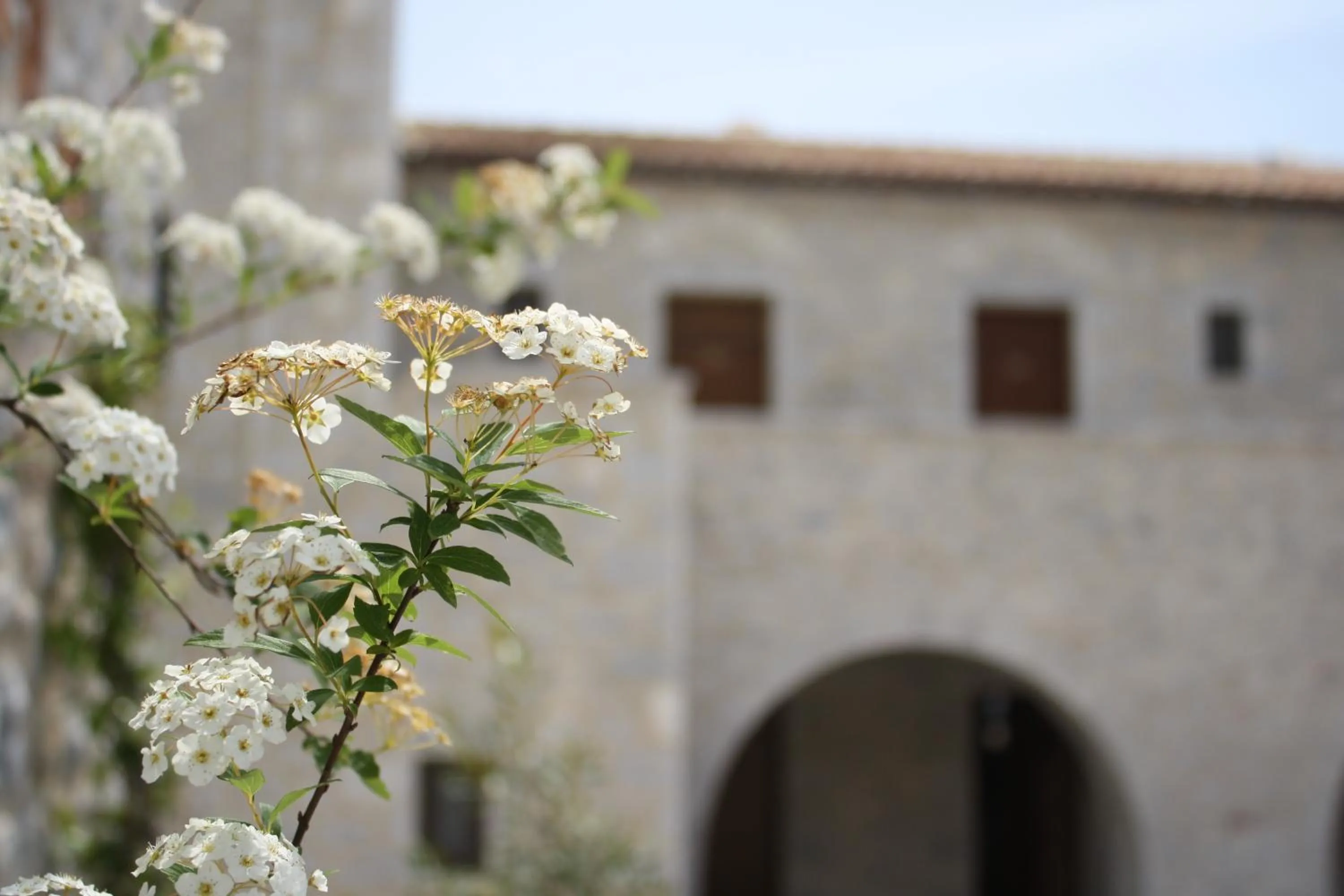 Decorative detail in Petra & Fos Boutique Hotel & Spa