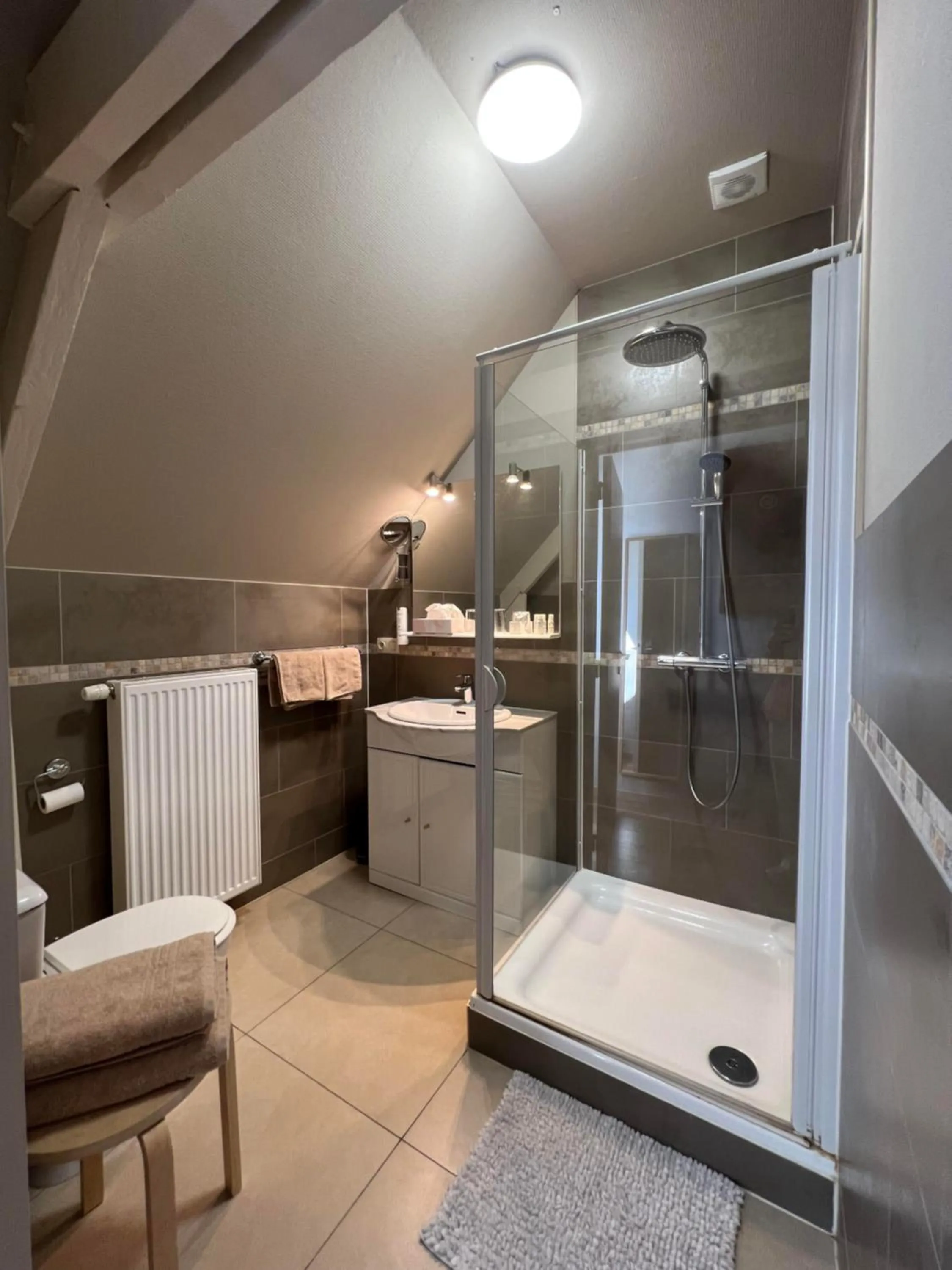 Shower in Hotel Fleur de Lys