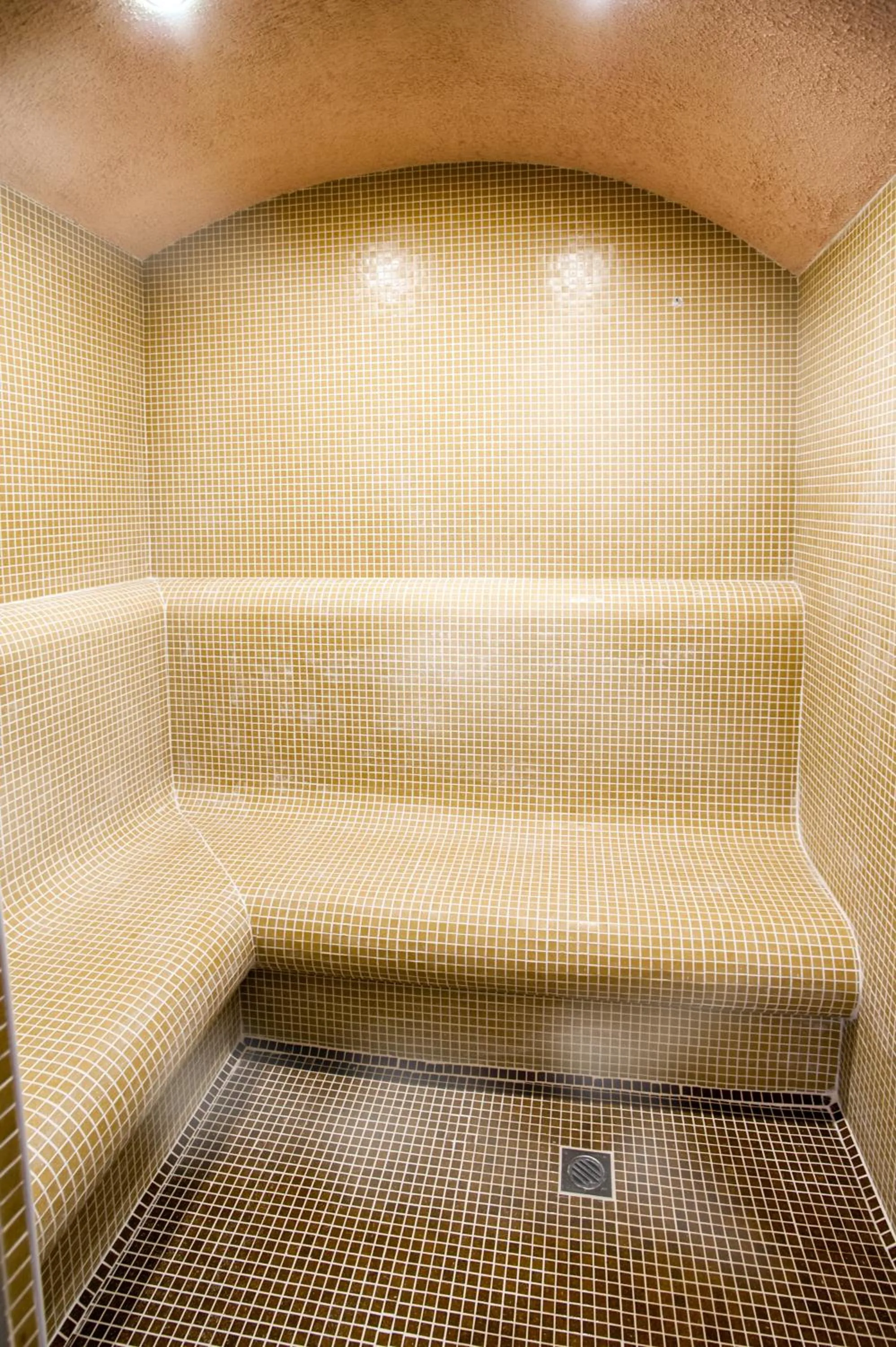 Steam room in White House Family Hotel Spa zone