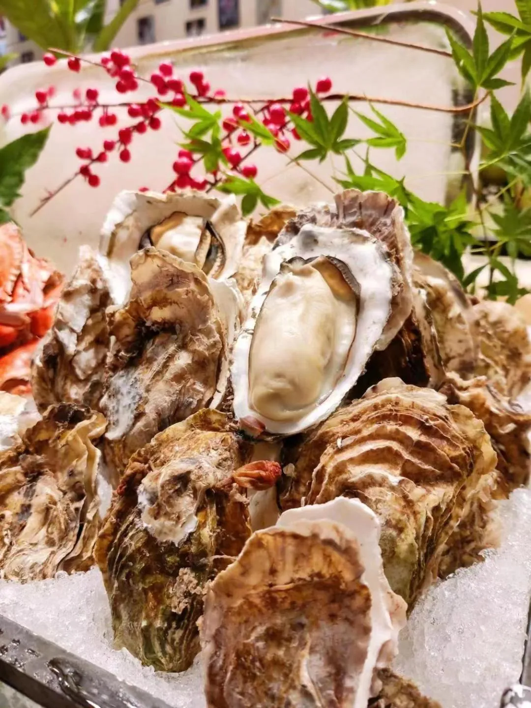 Restaurant/places to eat in Tongli Lake Resort Phase II