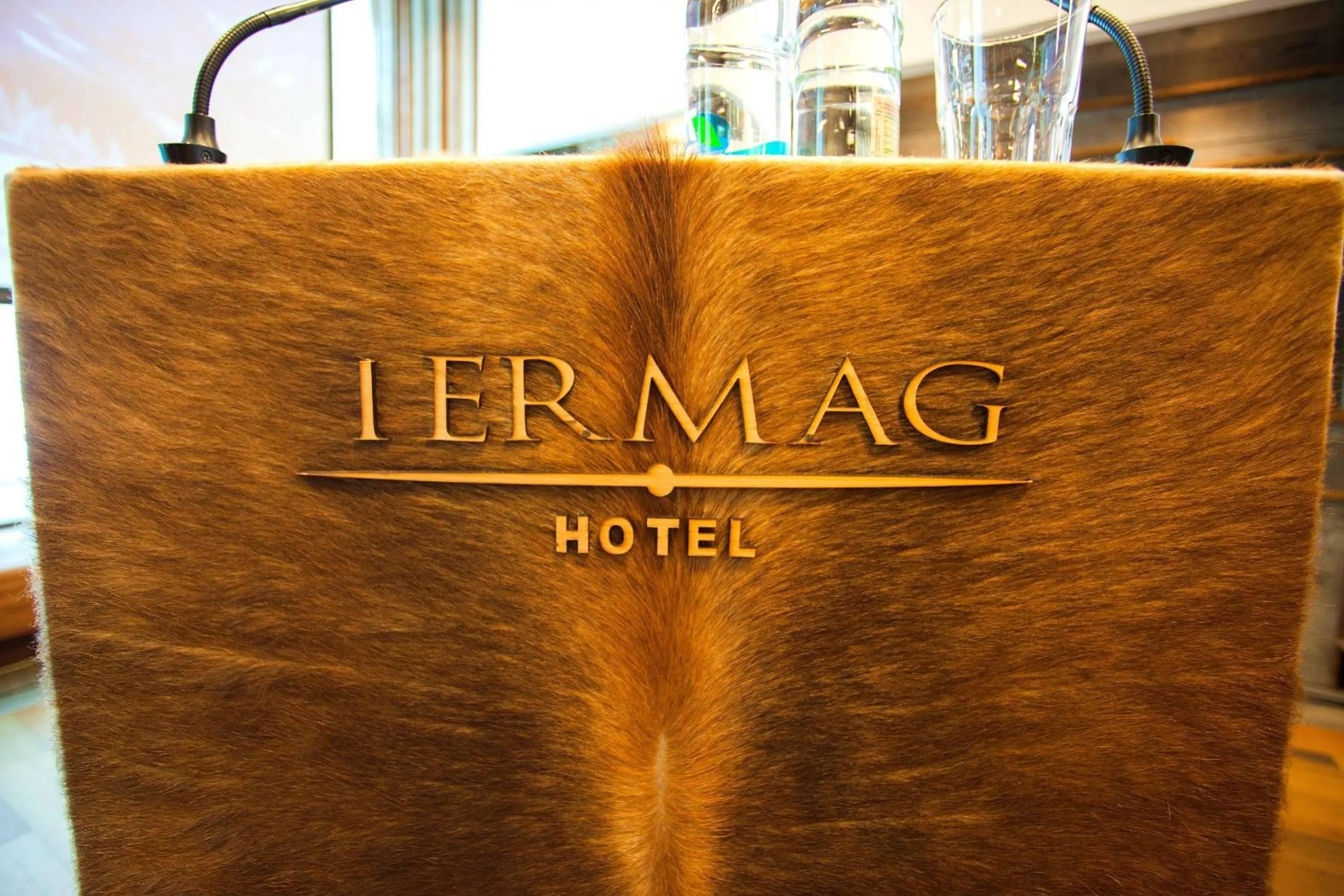 Decorative detail in Termag Hotel Jahorina