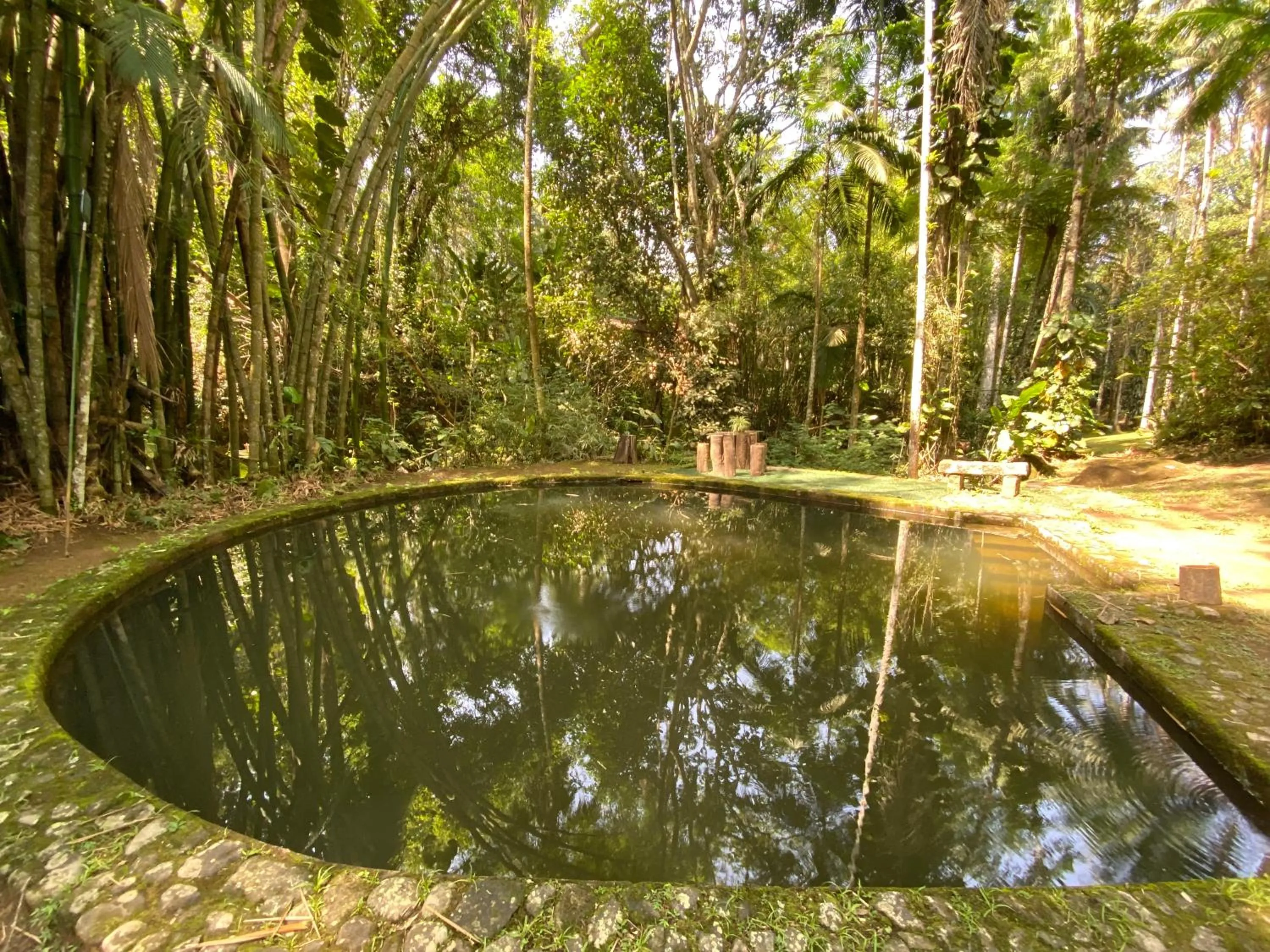 Swimming pool in Pousada Sítio Itaúna