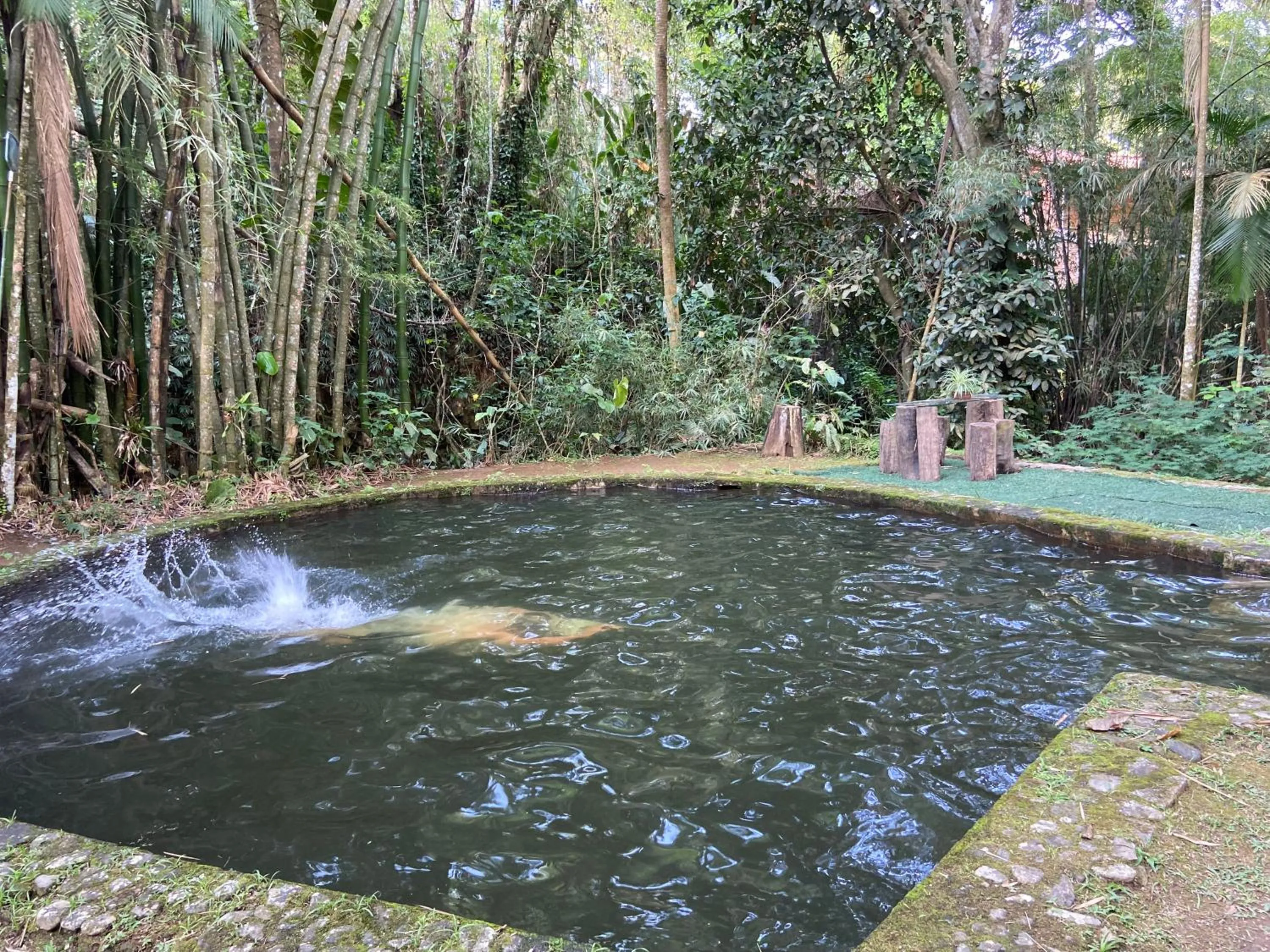  in Pousada Sítio Itaúna