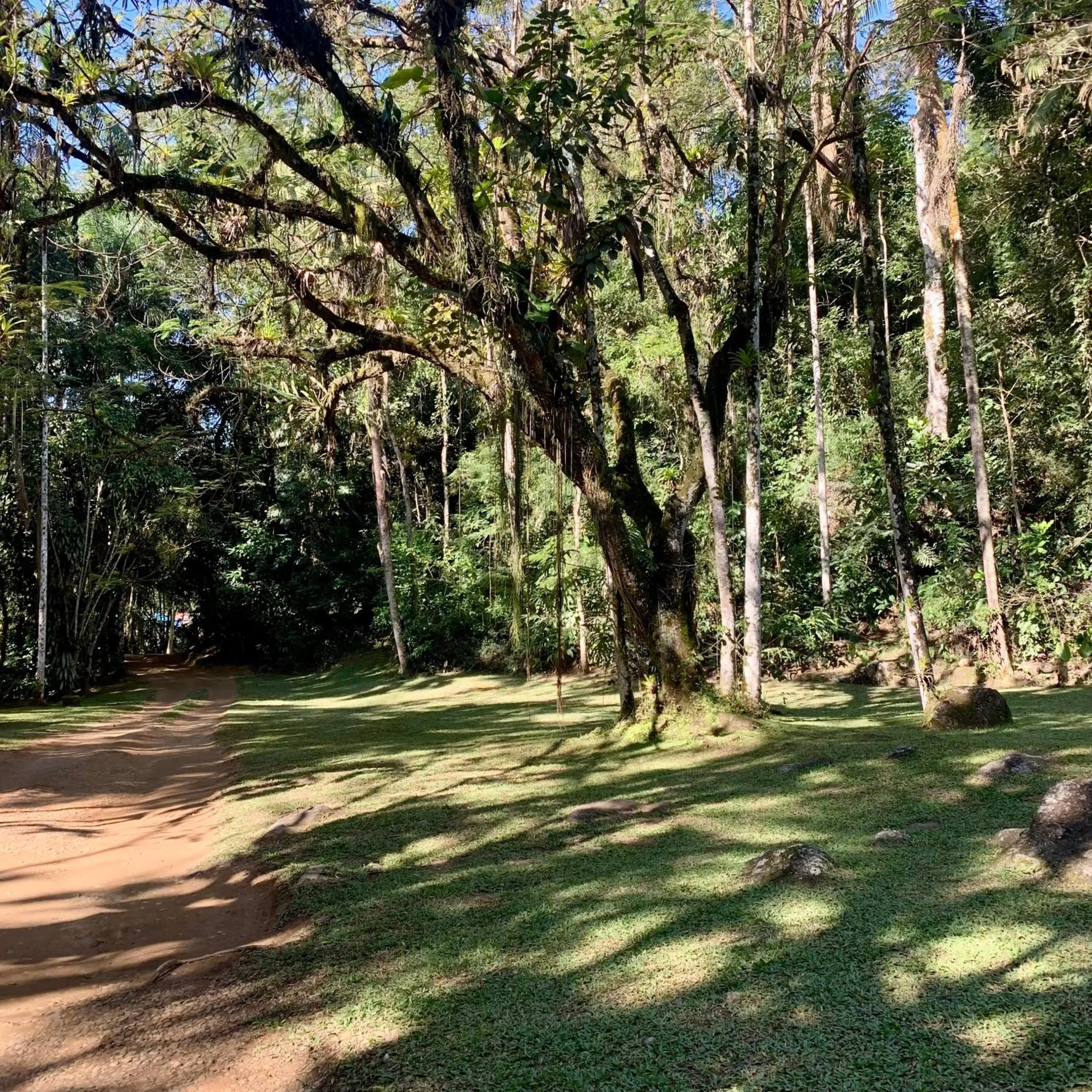 Garden in Pousada Sítio Itaúna