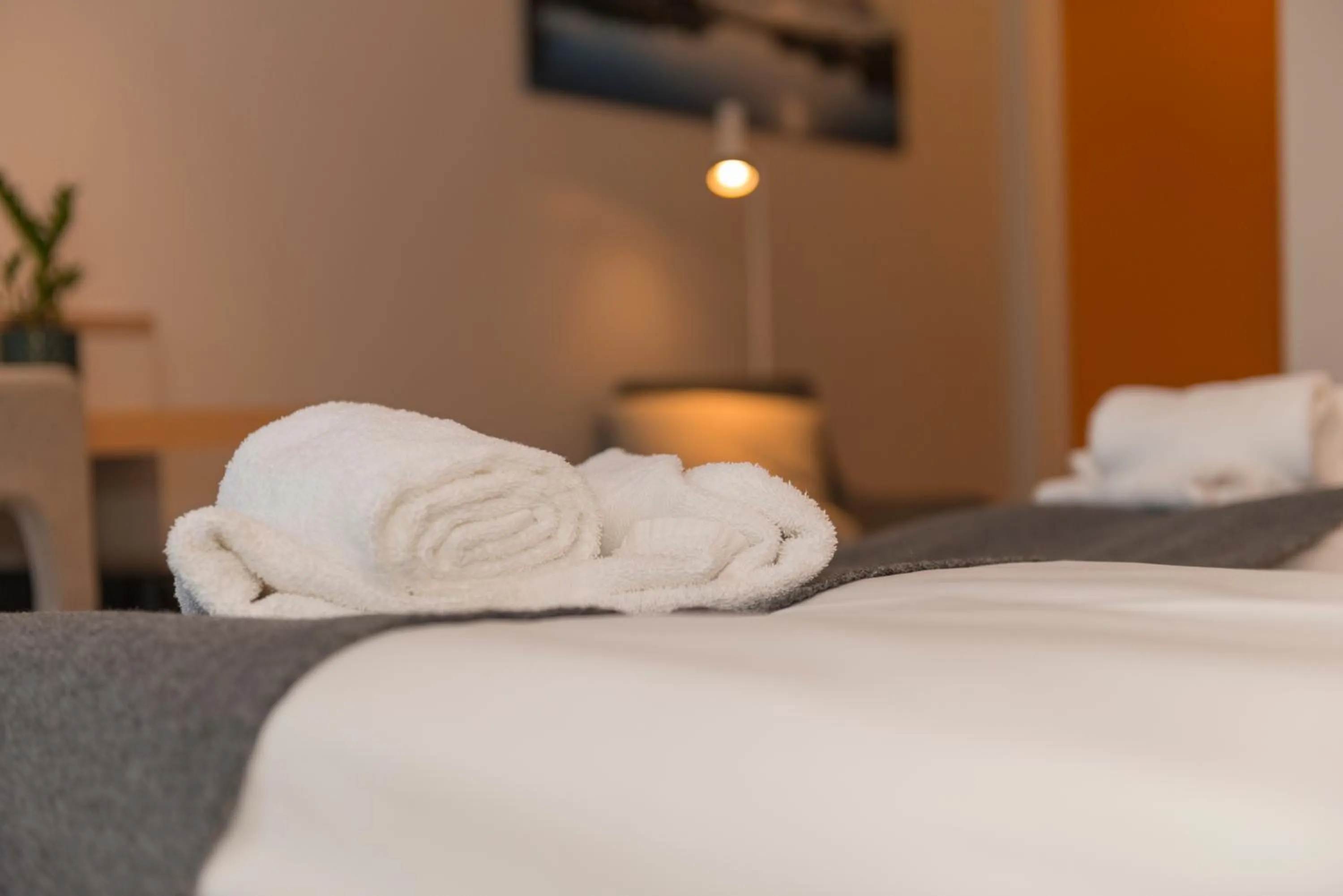 Budget Twin Room in Nordis Hotel Lofoten