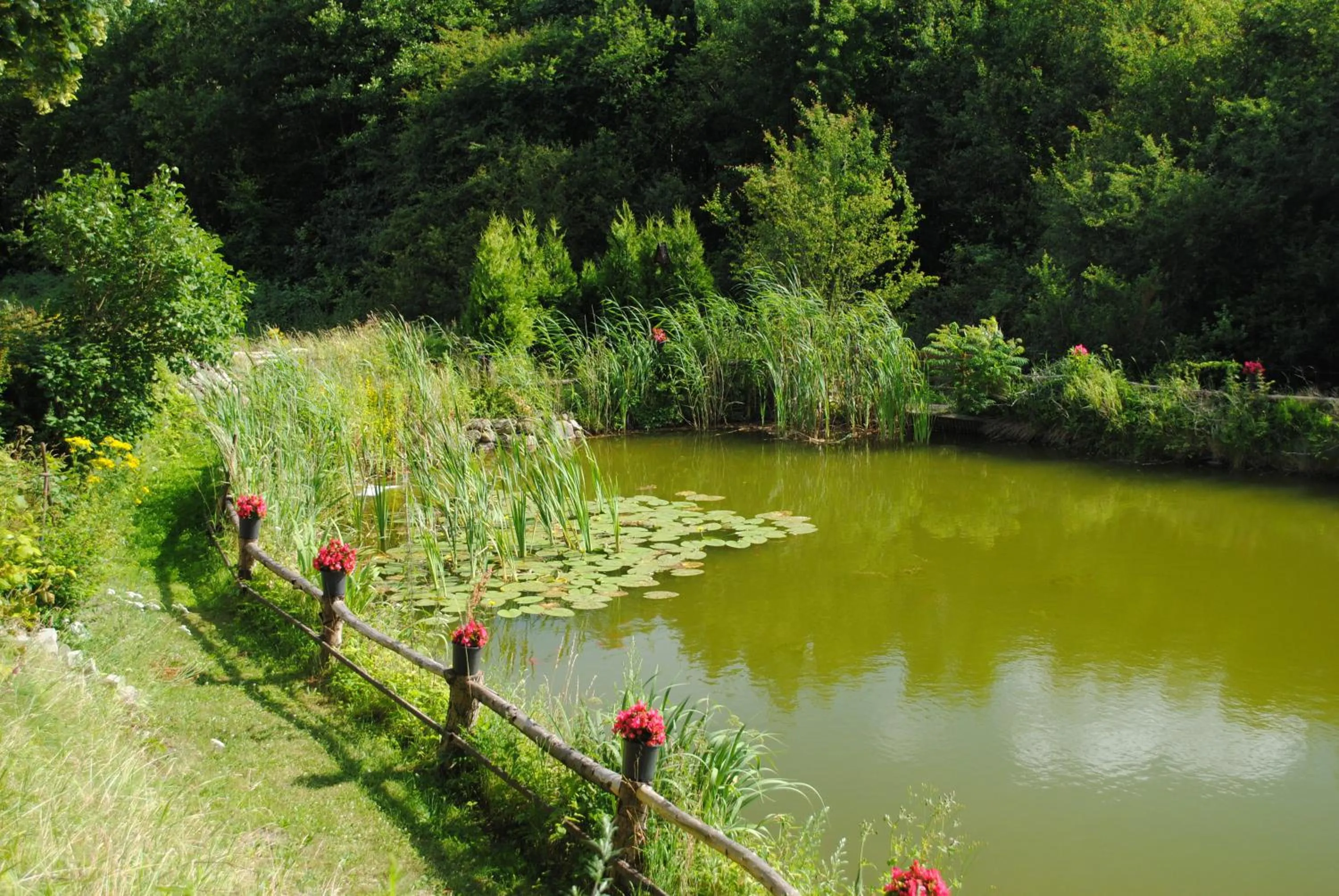Lake view in Hotel Ruhekrug