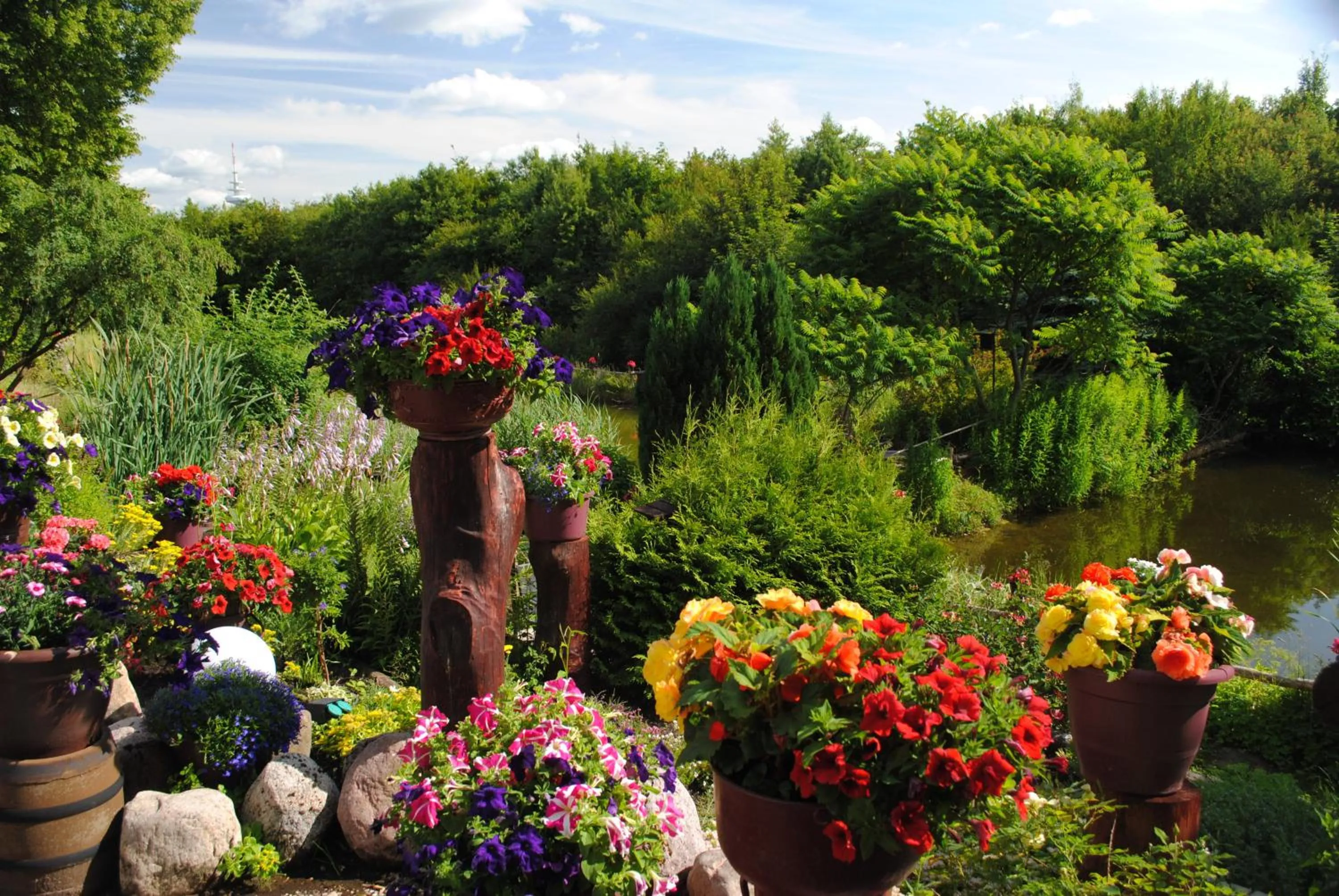 Garden in Hotel Ruhekrug