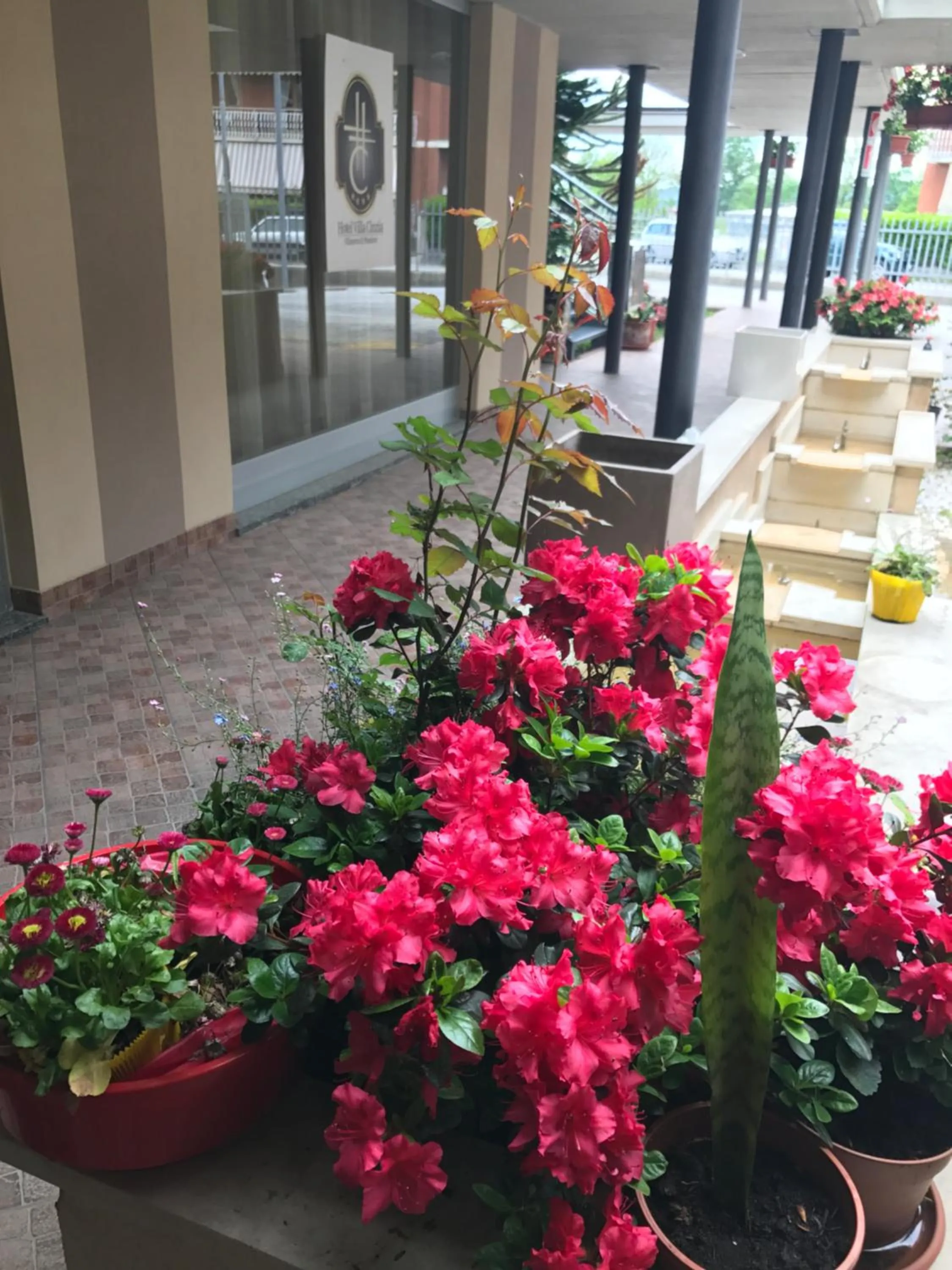 Property building in Hotel Villa Cinzia