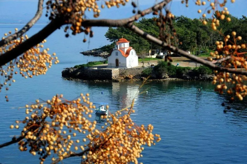 Area and facilities in Aktaion City Hotel