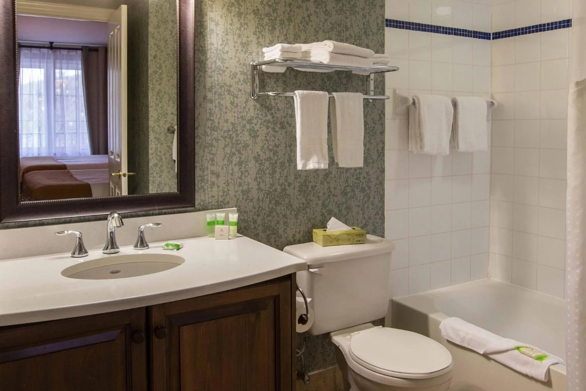 Bathroom in Holiday Inn Express & Suites Tremblant by IHG