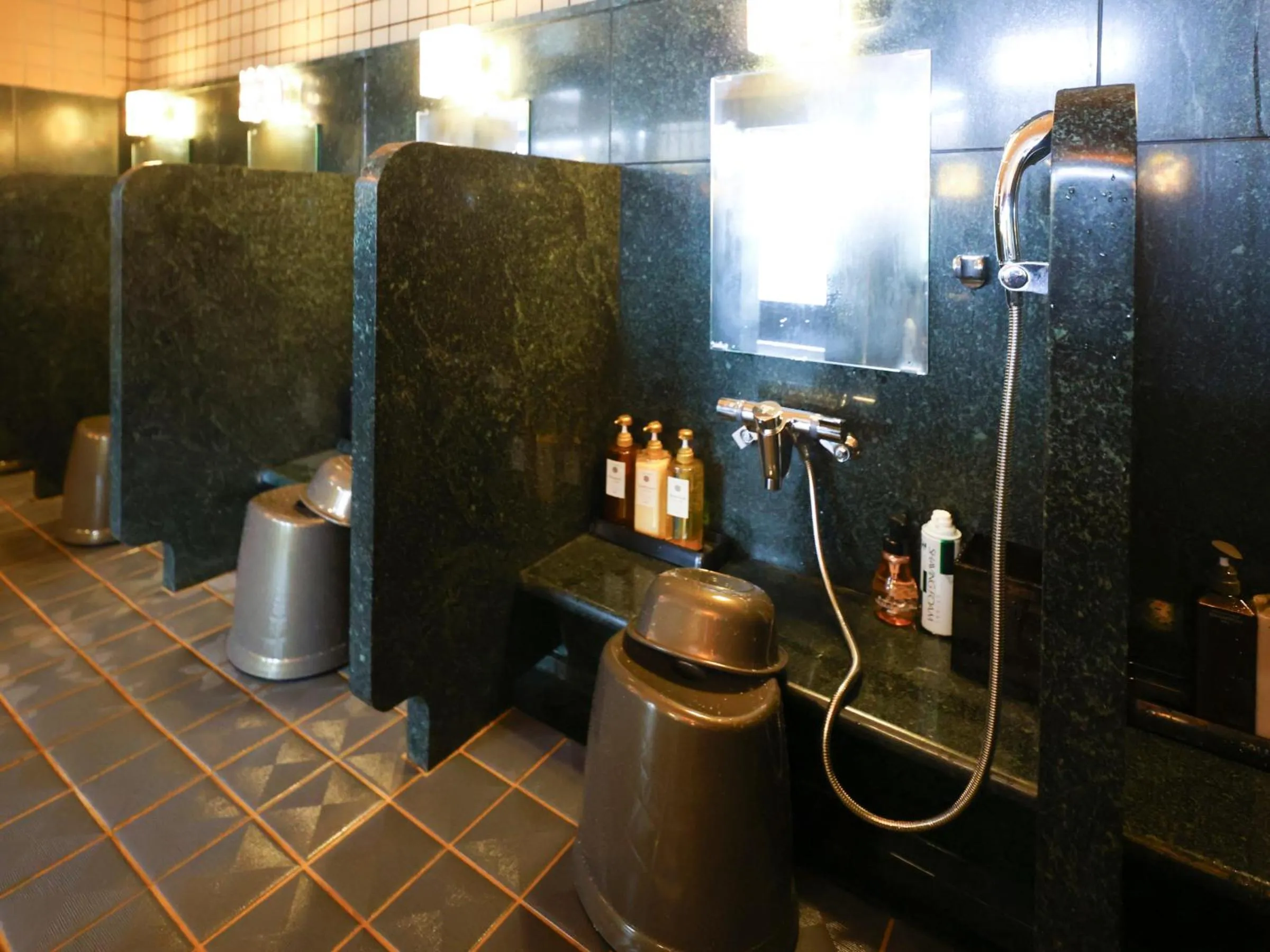 Public Bath in Tennen Onsen Taho-no-Yu Dormy Inn Niigata