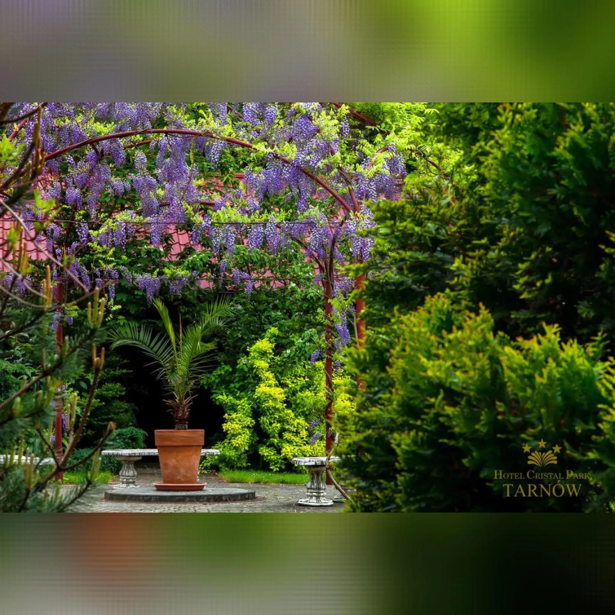 Natural landscape in Hotel Cristal Park