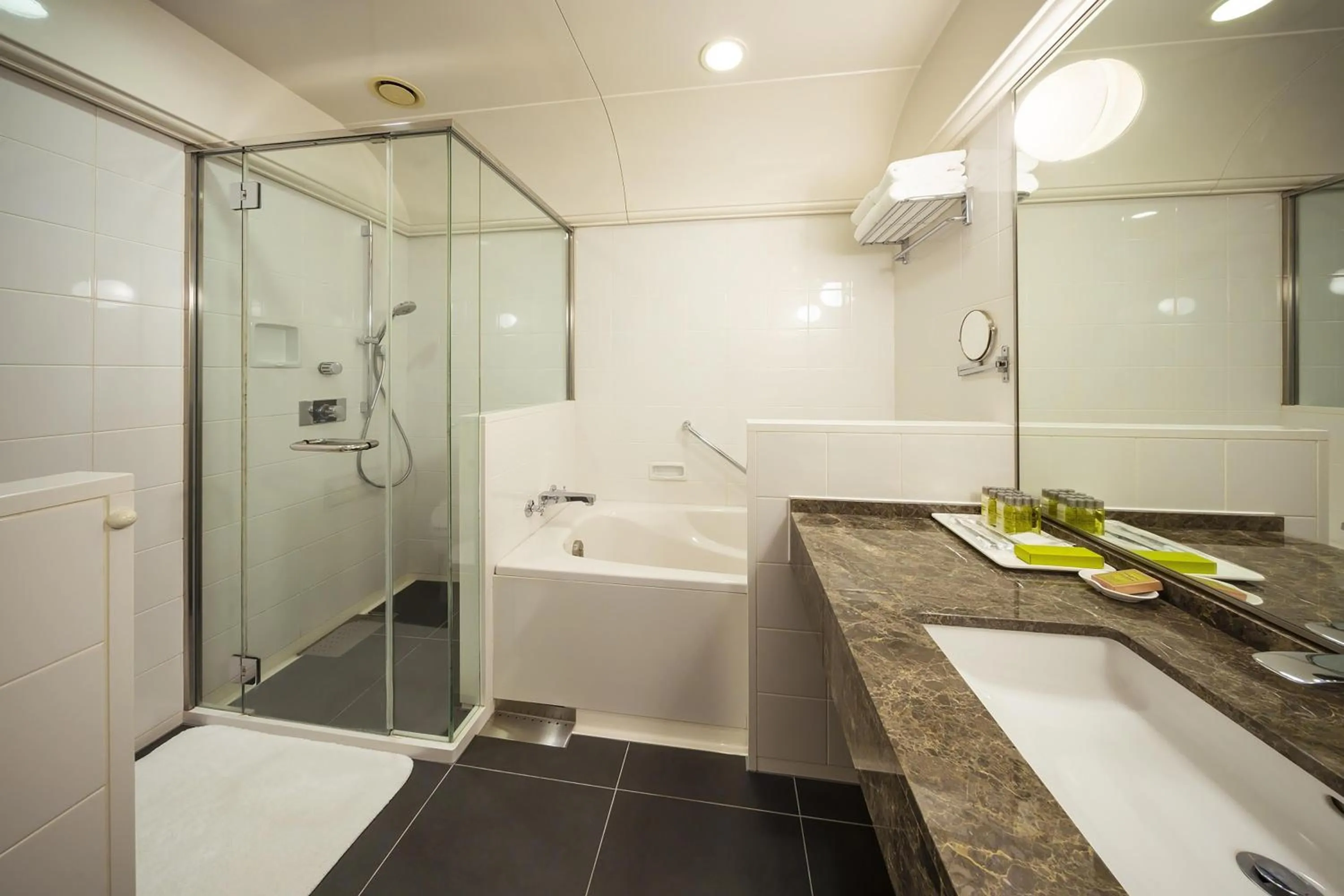 Bathroom in Hilton Fukuoka Sea Hawk