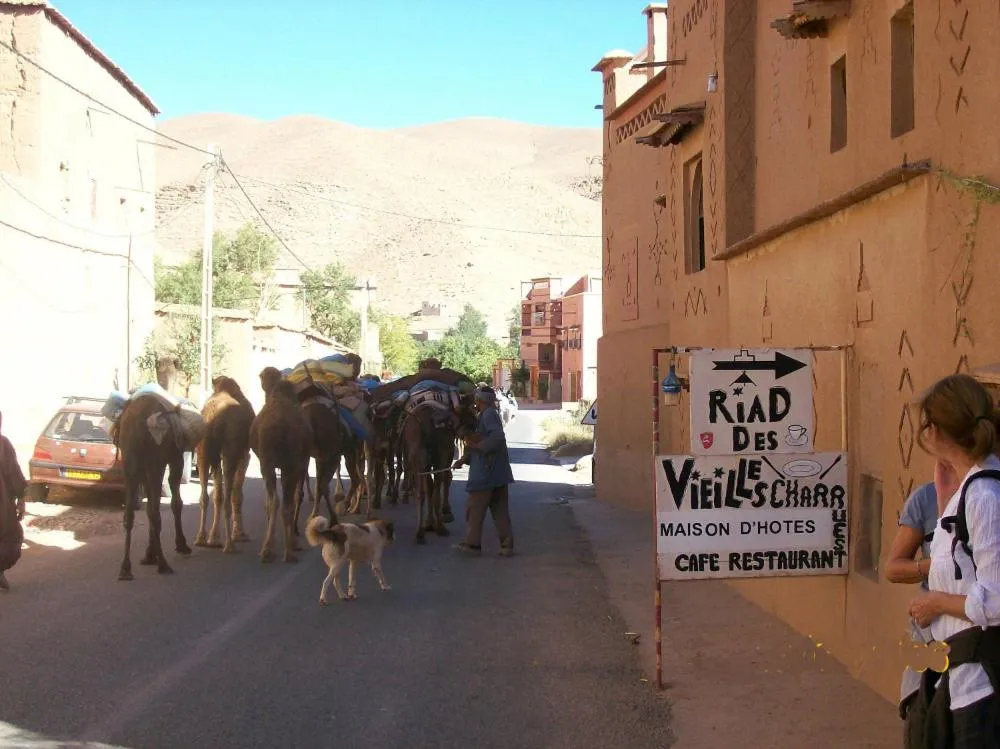 Riad Des Vieilles Charrues