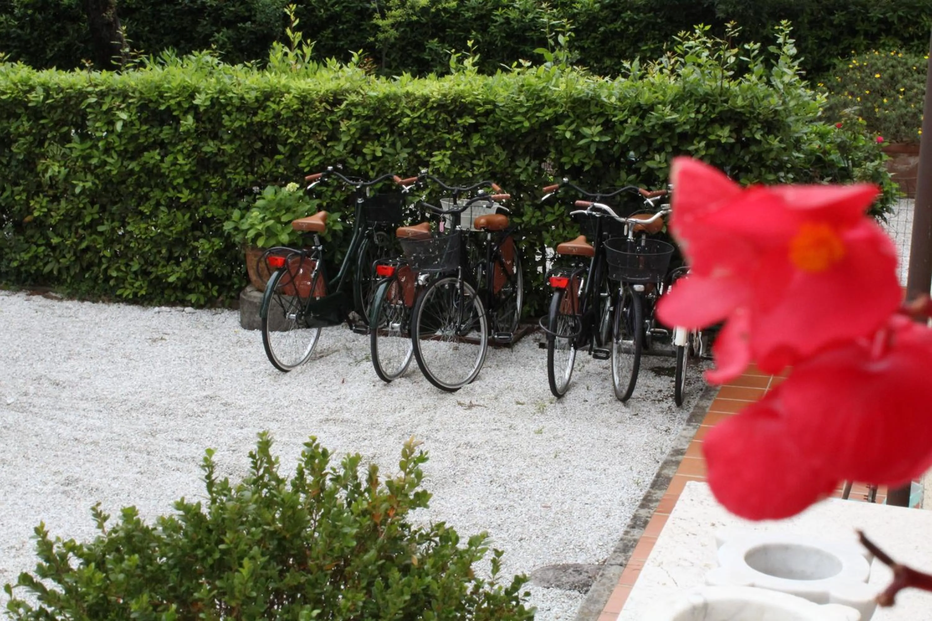 Cycling in Hotel Villa Edera