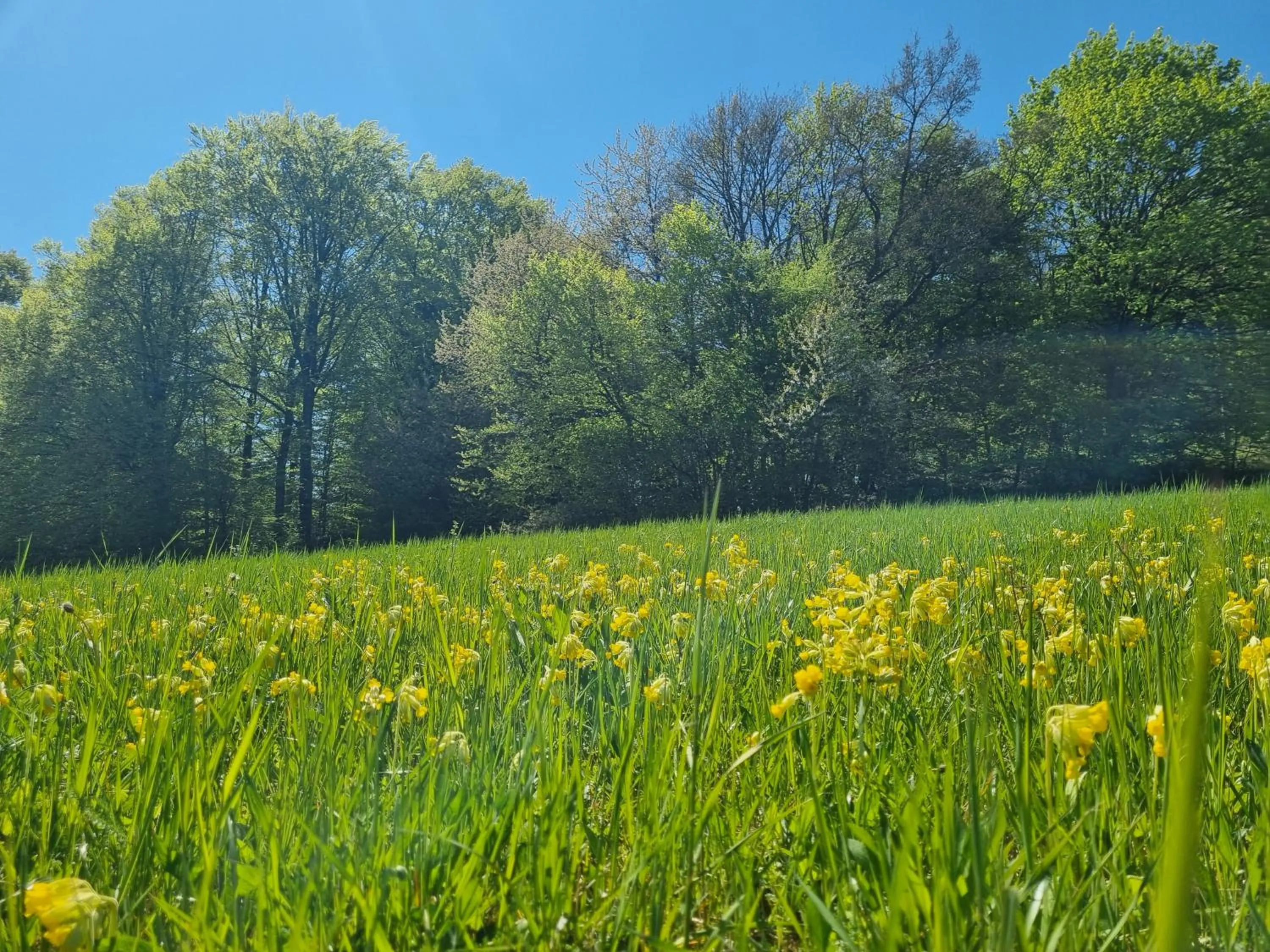 Landhaus Talblick- Frühstückspension