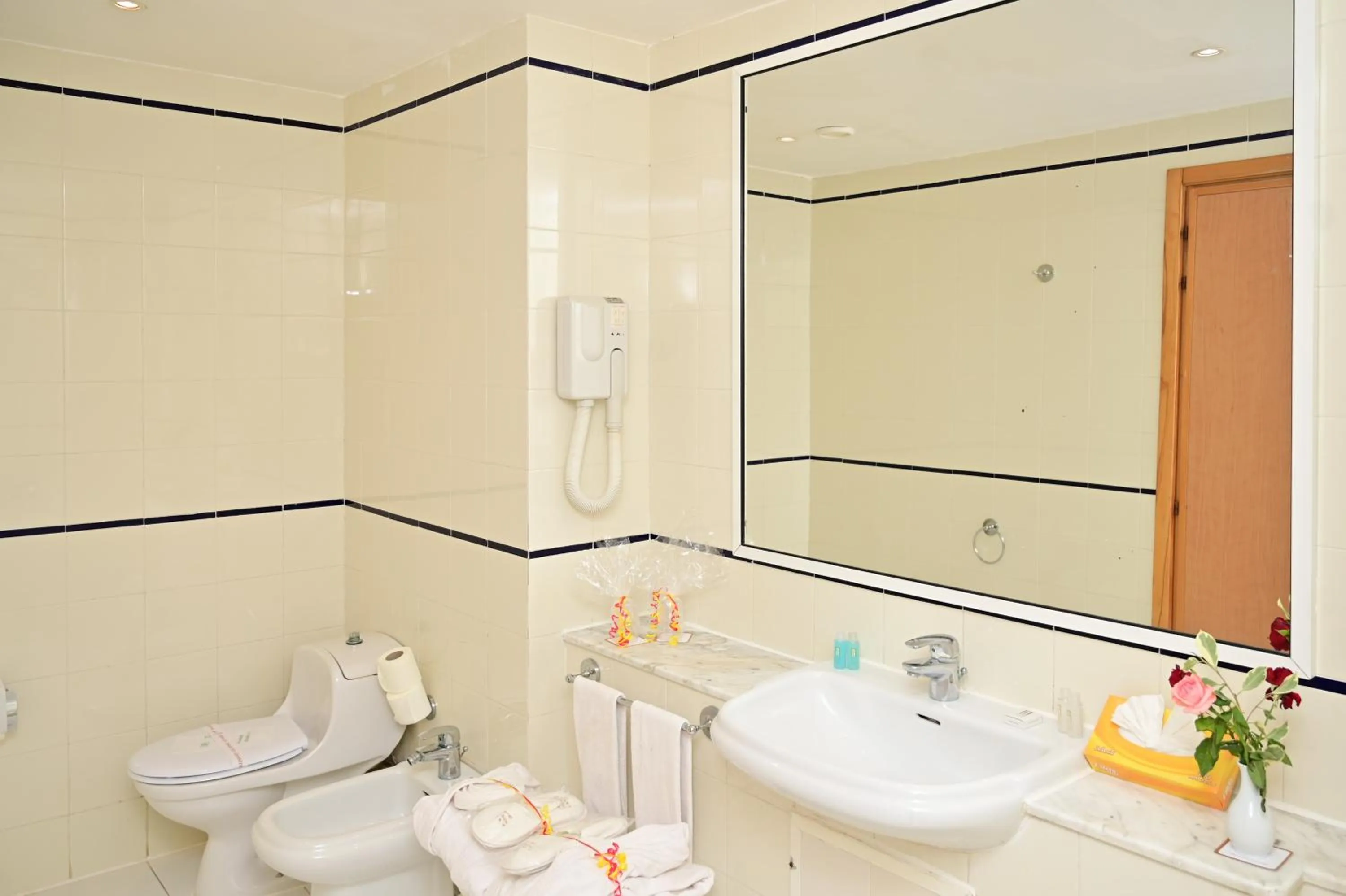 Toilet in Hotel Nour Palace Resort & Thalasso Mahdia