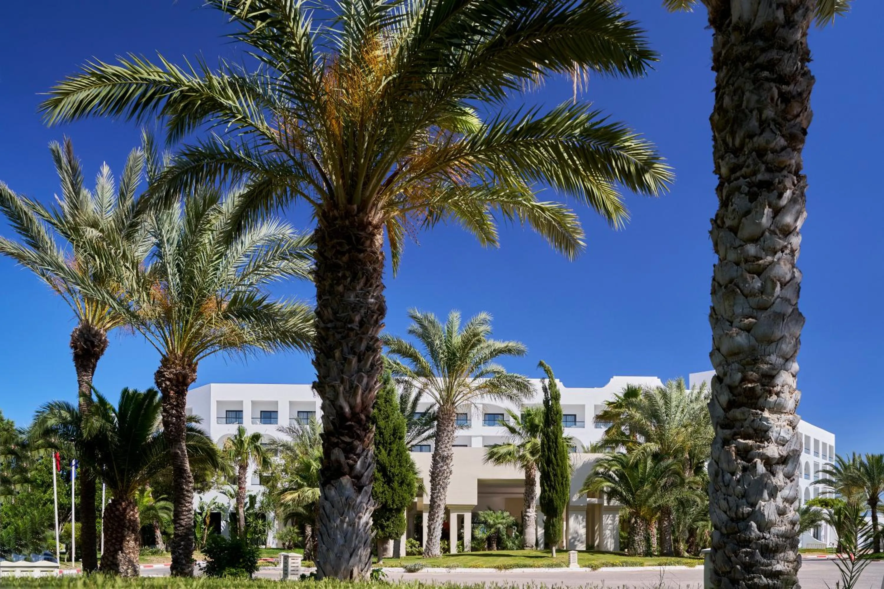 Property building in Nozha Beach Resort & Spa