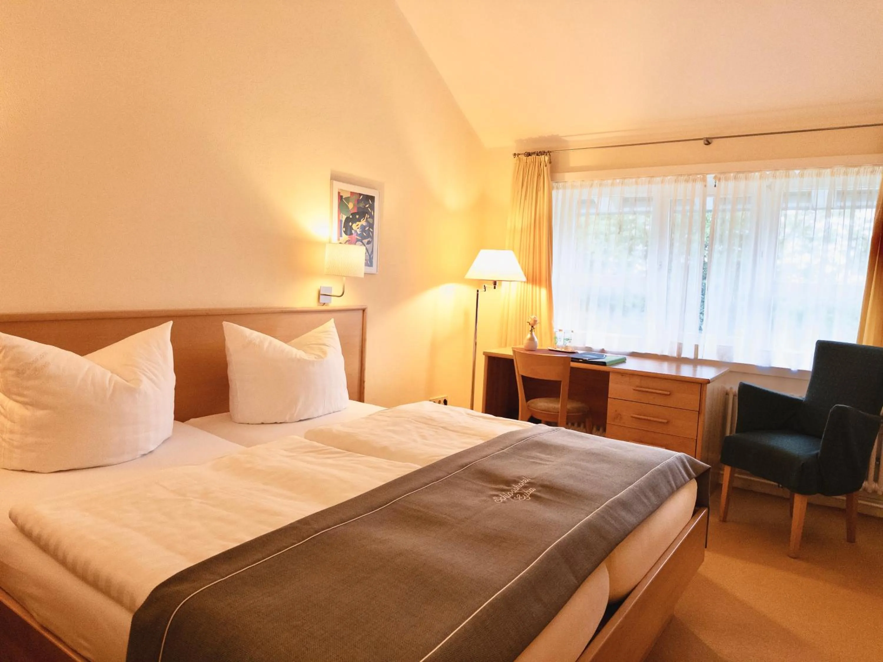 Standard Double Room in Schlosshotel Eyba