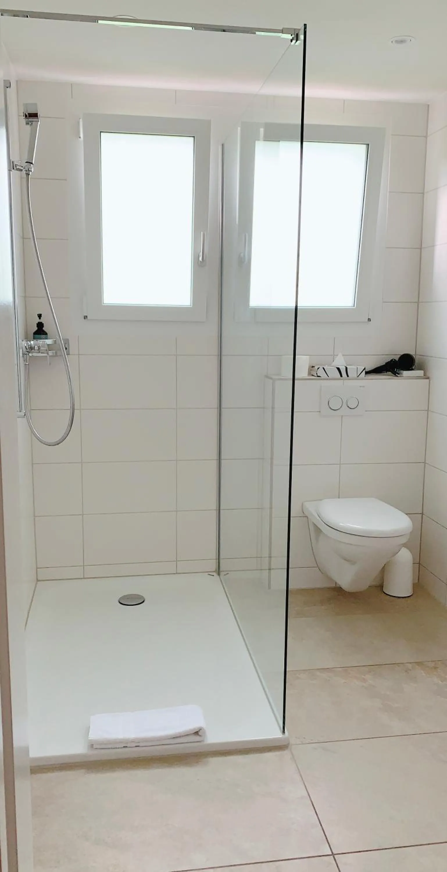 Hotel Friedheim Weggis